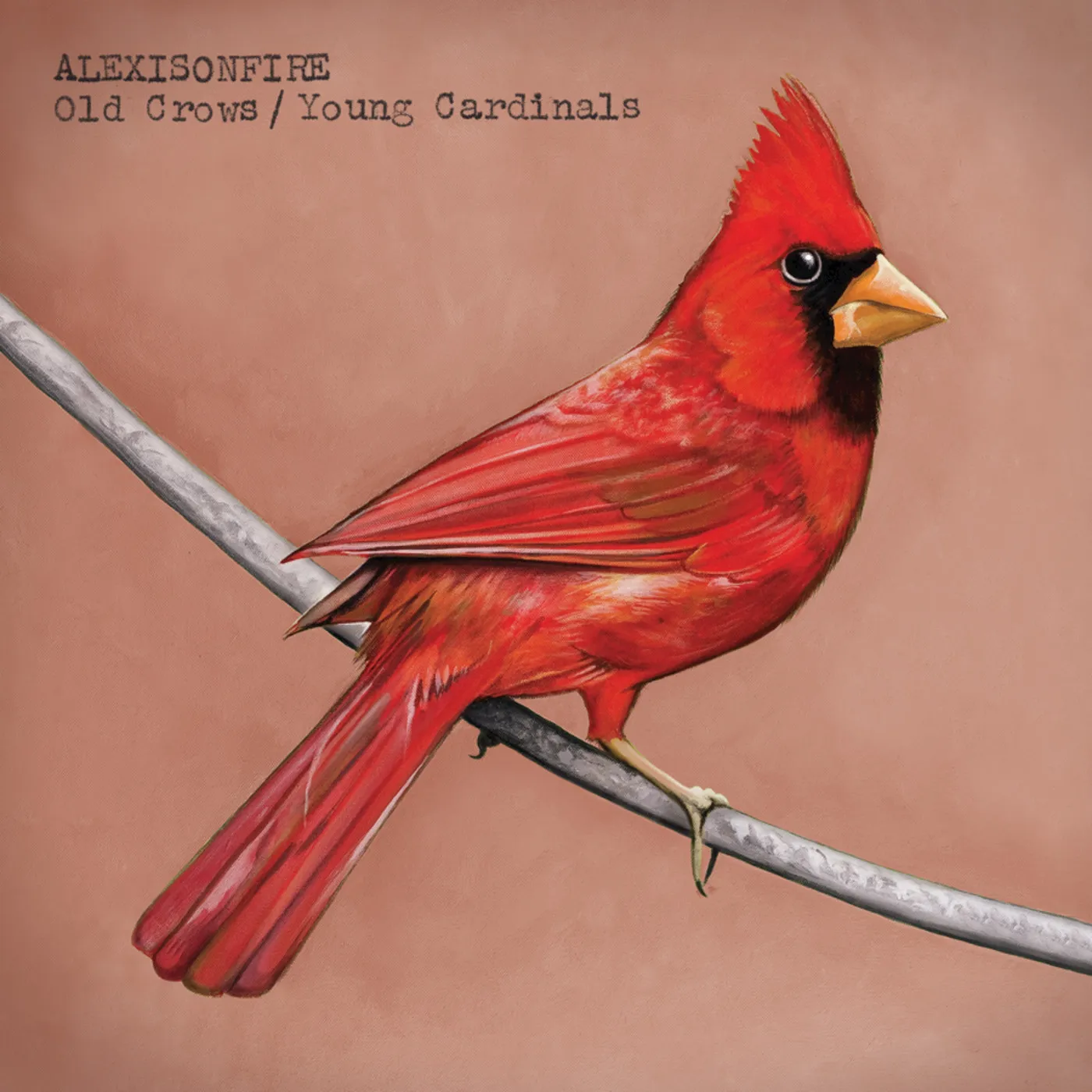 Alexisonfire OLD CROWS / YOUNG CARDINALS CD