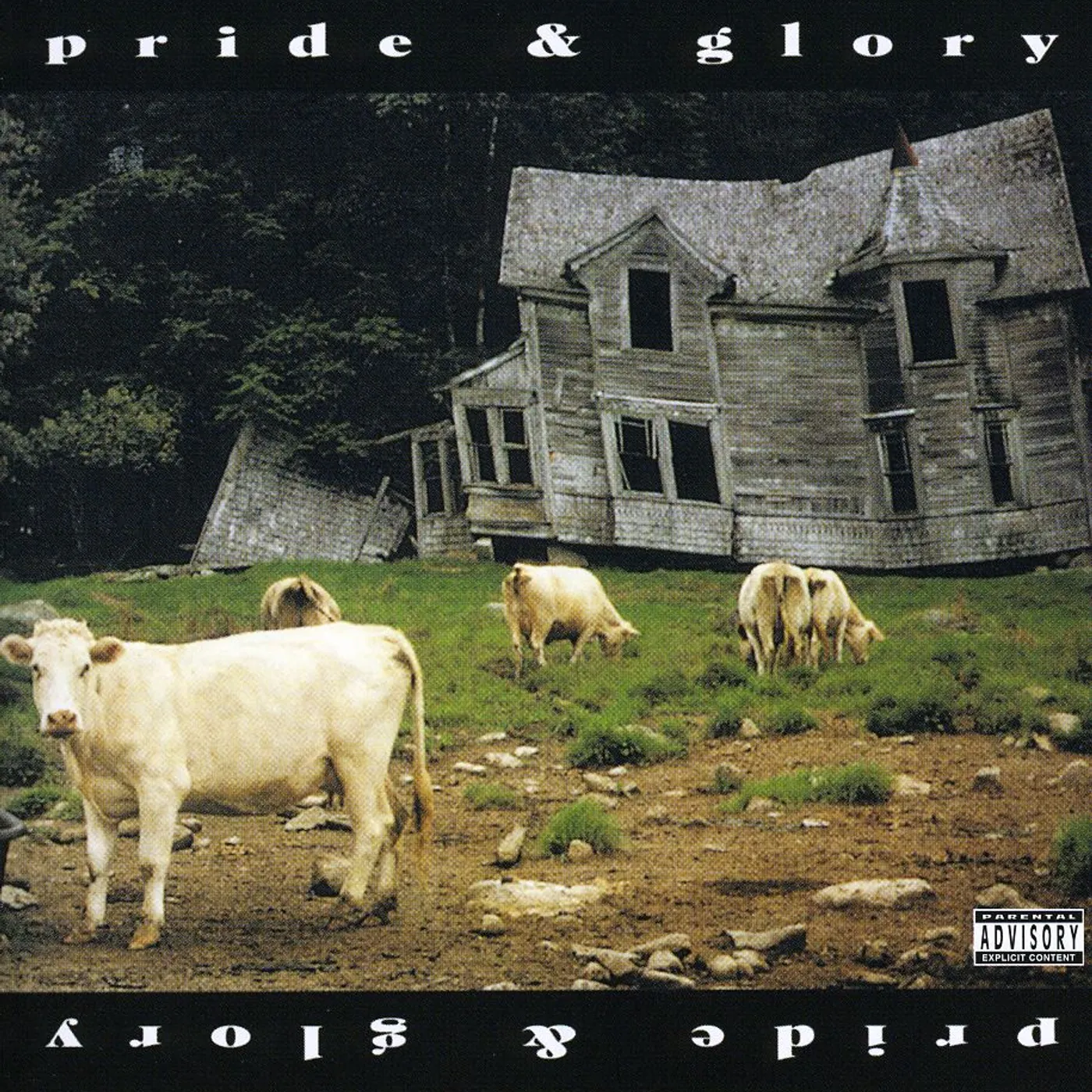 Zakk Wylde (Black Label Society) PRIDE & GLORY CD