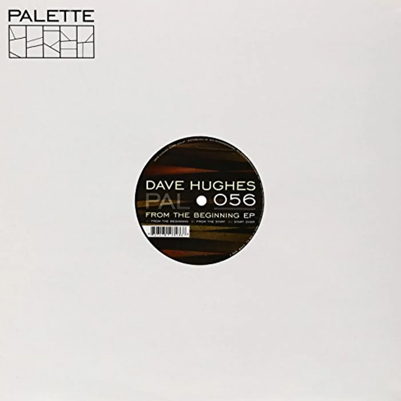 Dave Hughes FROM THE BEGINNING Vinyl Record