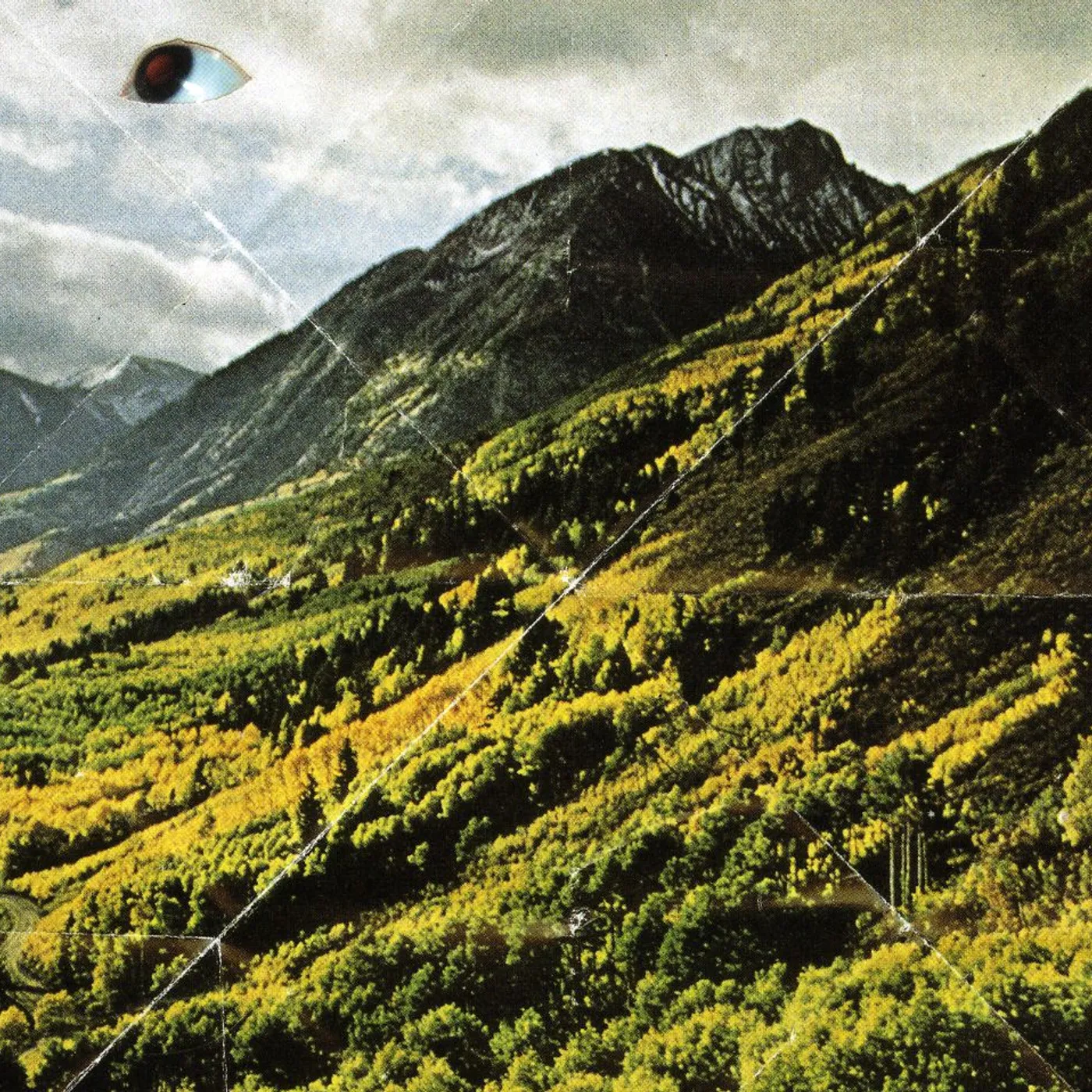 Woods SONGS OF SHAME CD