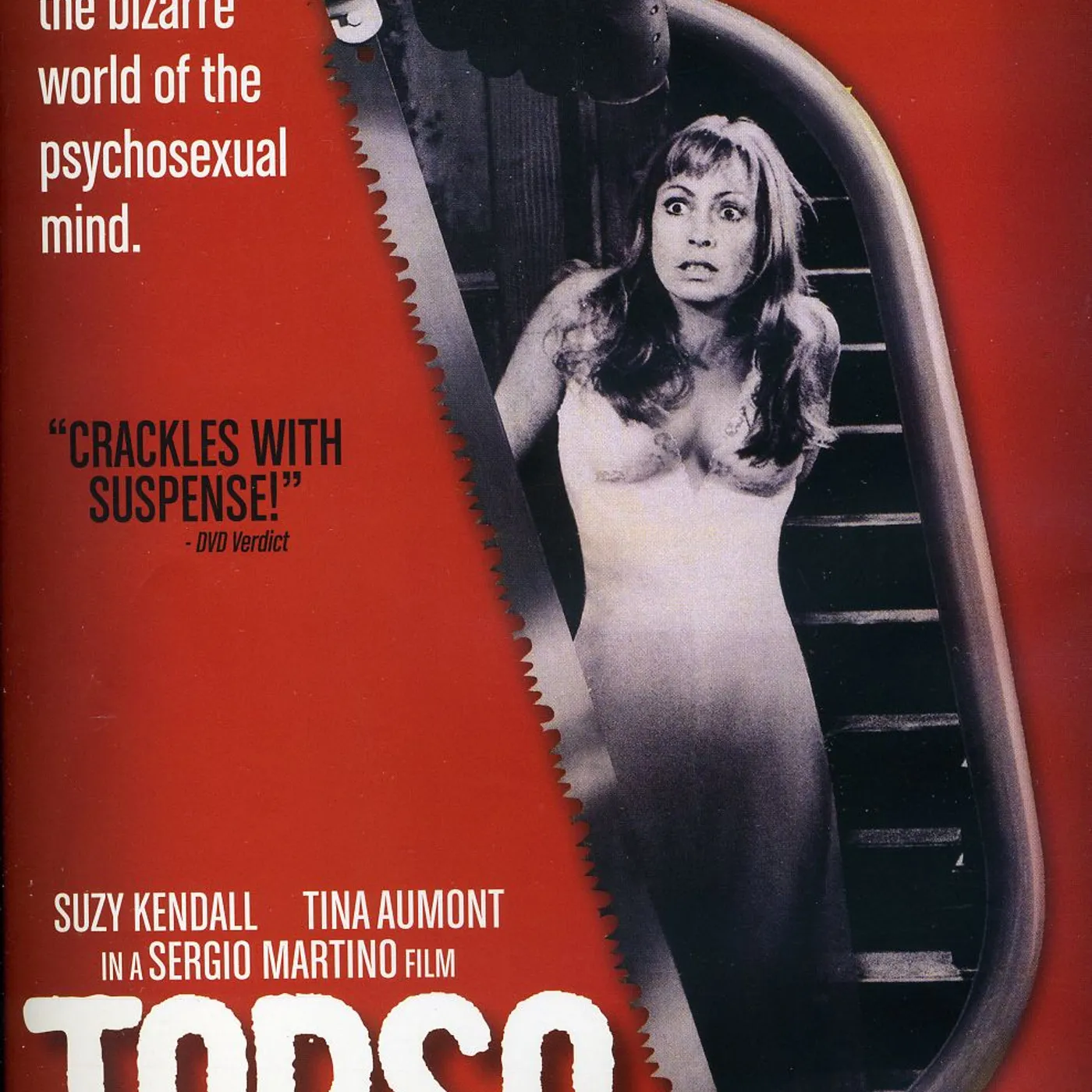 TORSO DVD