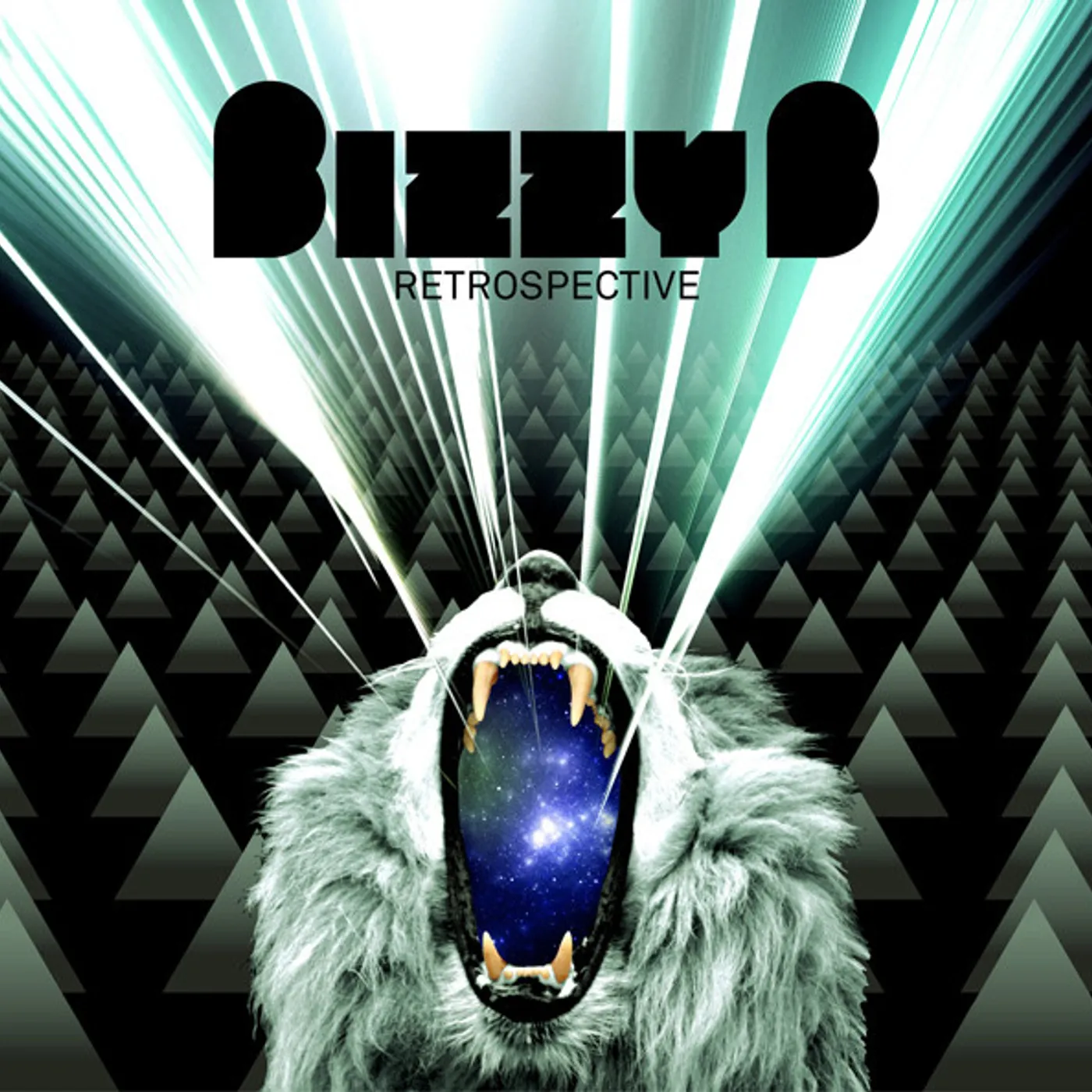 Bizzy B Retrospective Vinyl Record