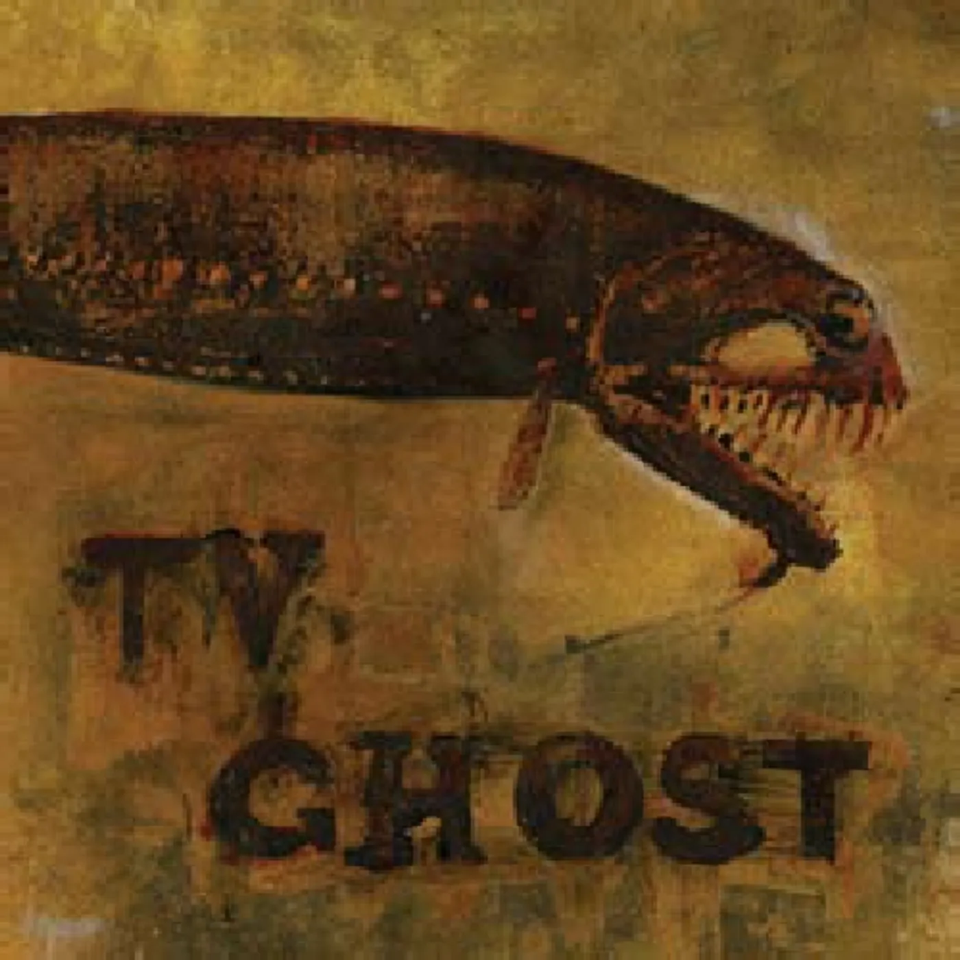 TV Ghost COLD FISH CD