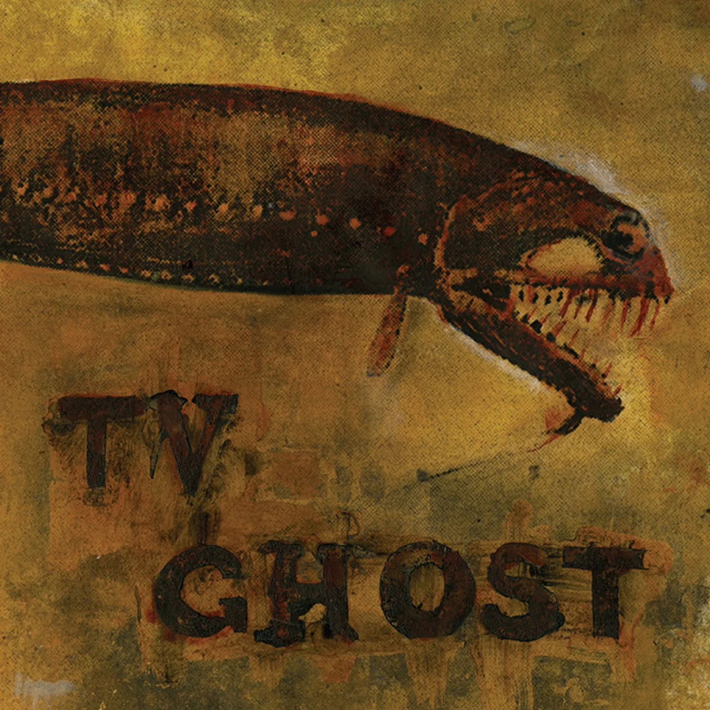 TV Ghost Cold Fish Vinyl Record