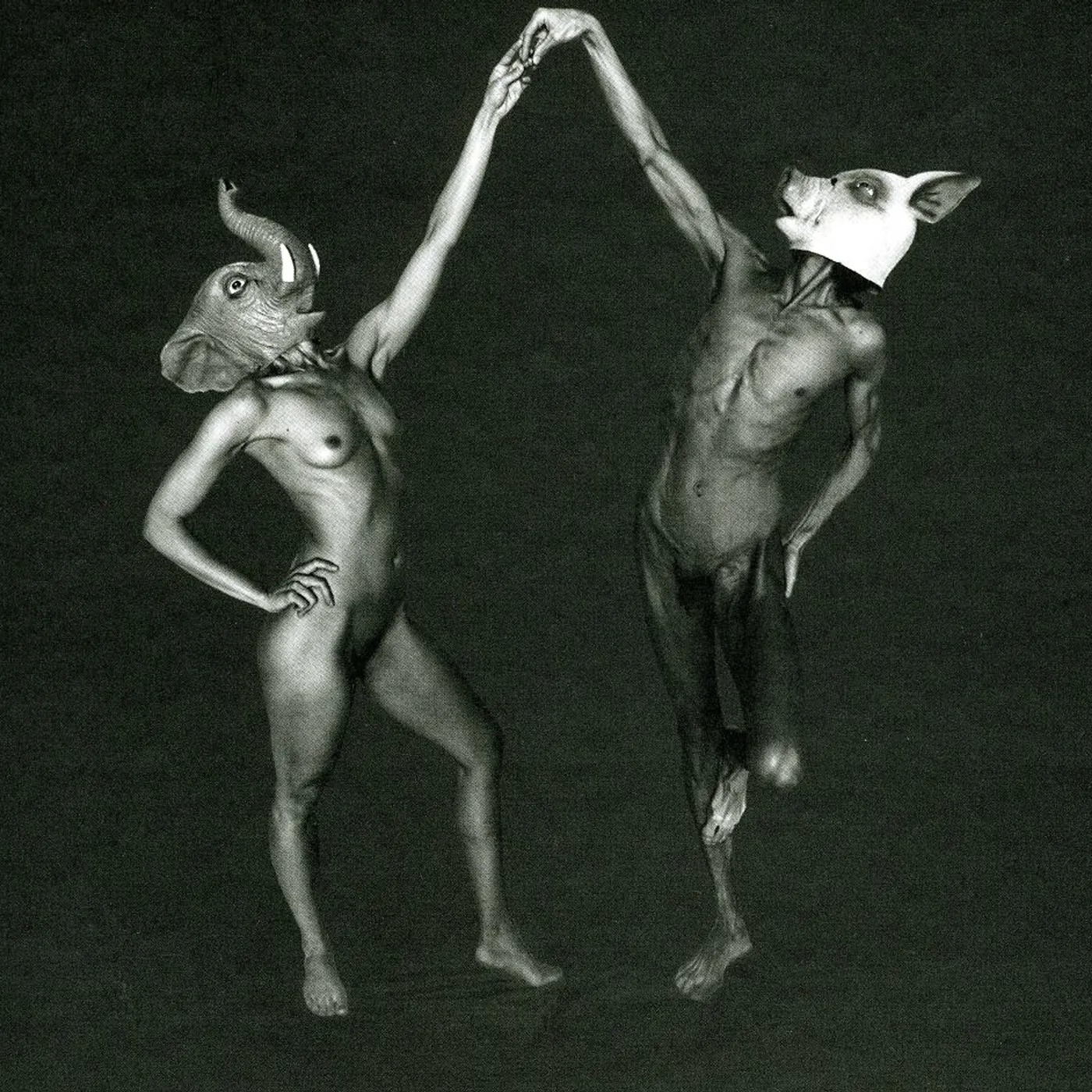 Crooked Fingers FOREIT FORTUNE CD