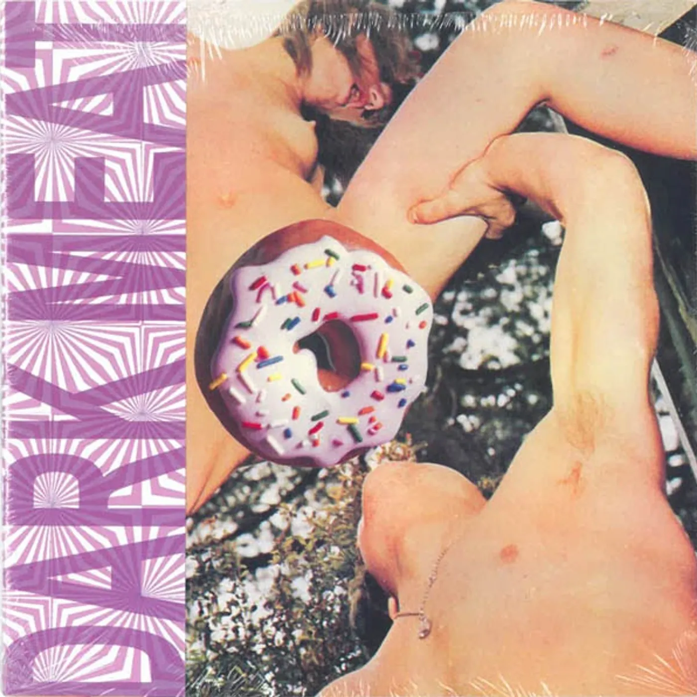 Dark Meat WHEN THE SHELTER CAME Vinyl Record - Limited Edition, Digital Download Included