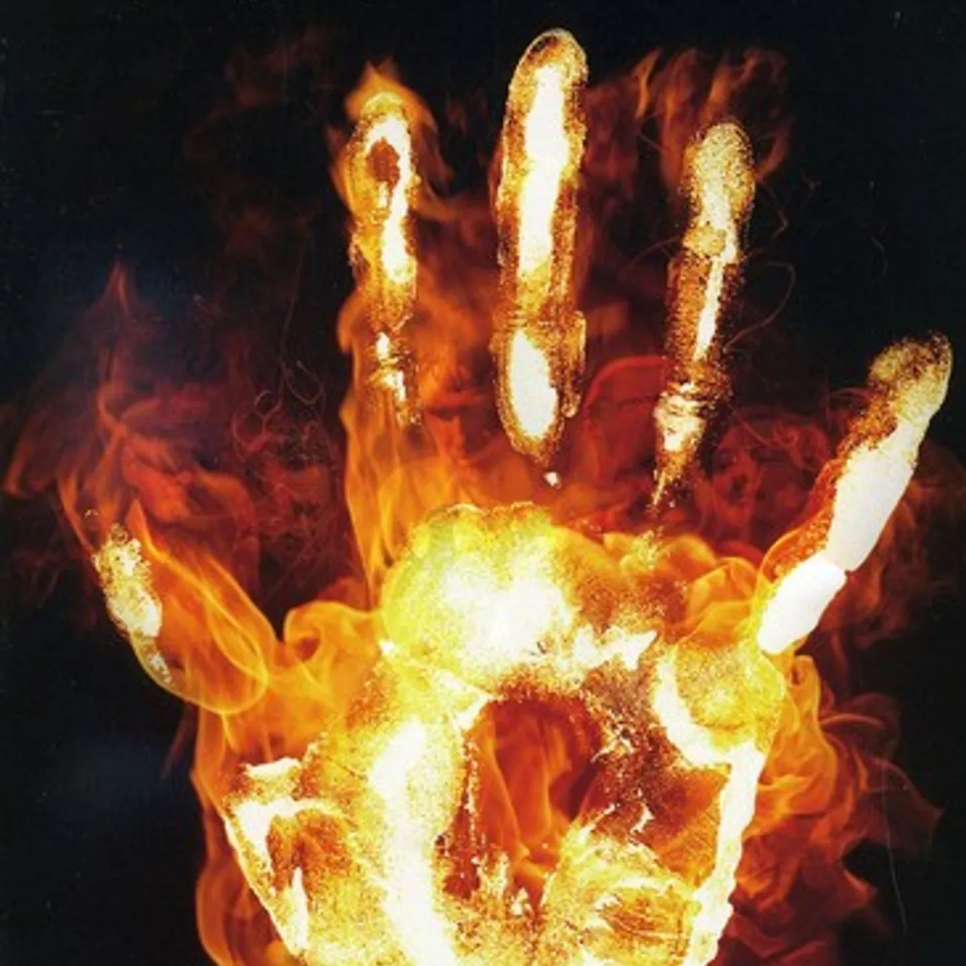 Tinyfish ONE NIGHT ON FIRE DVD