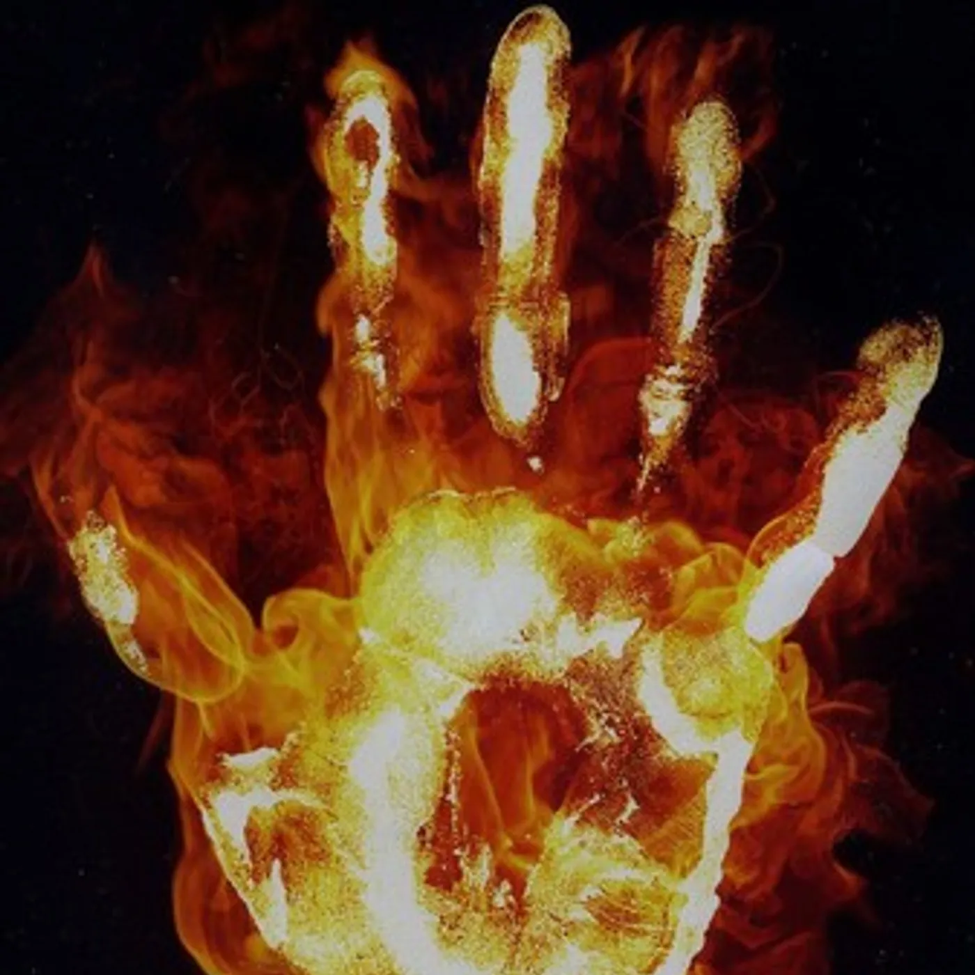 Tinyfish ONE NIGHT ON FIRE DVD