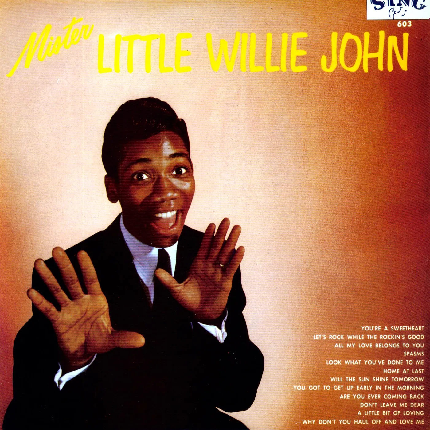Mister Little Willie John Vinyl Record