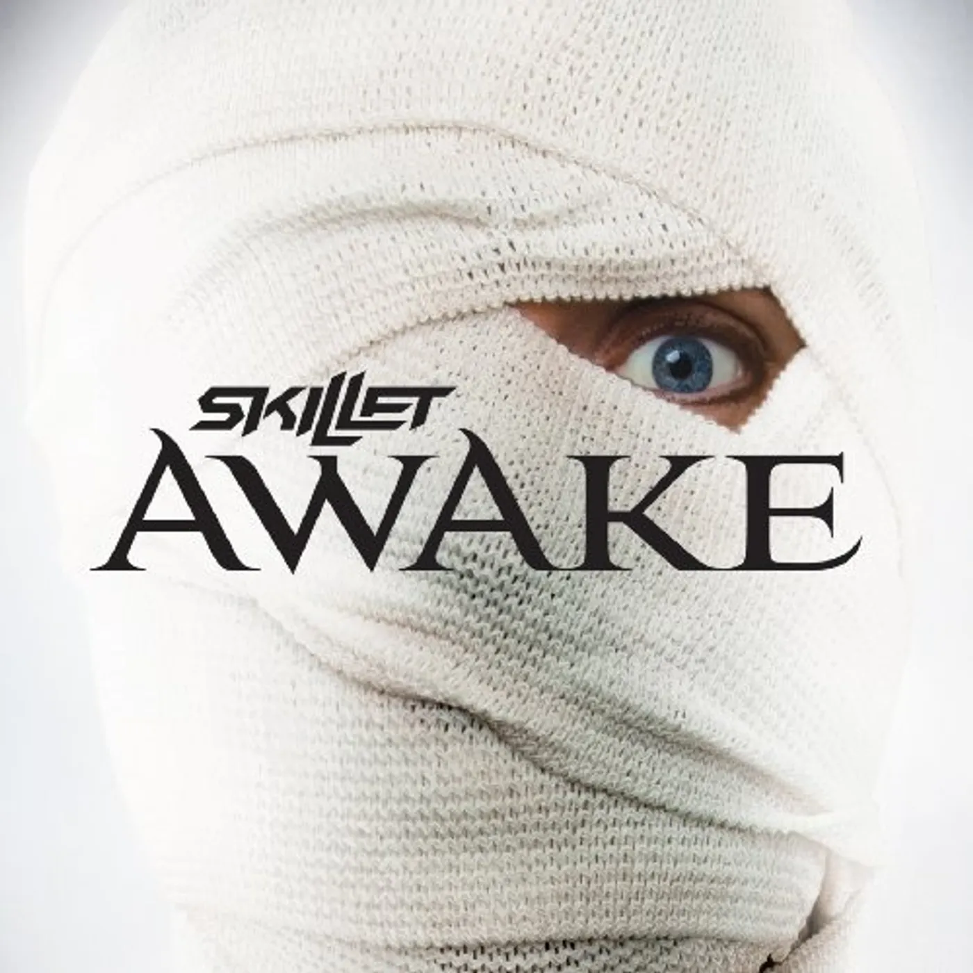 Skillet AWAKE CD