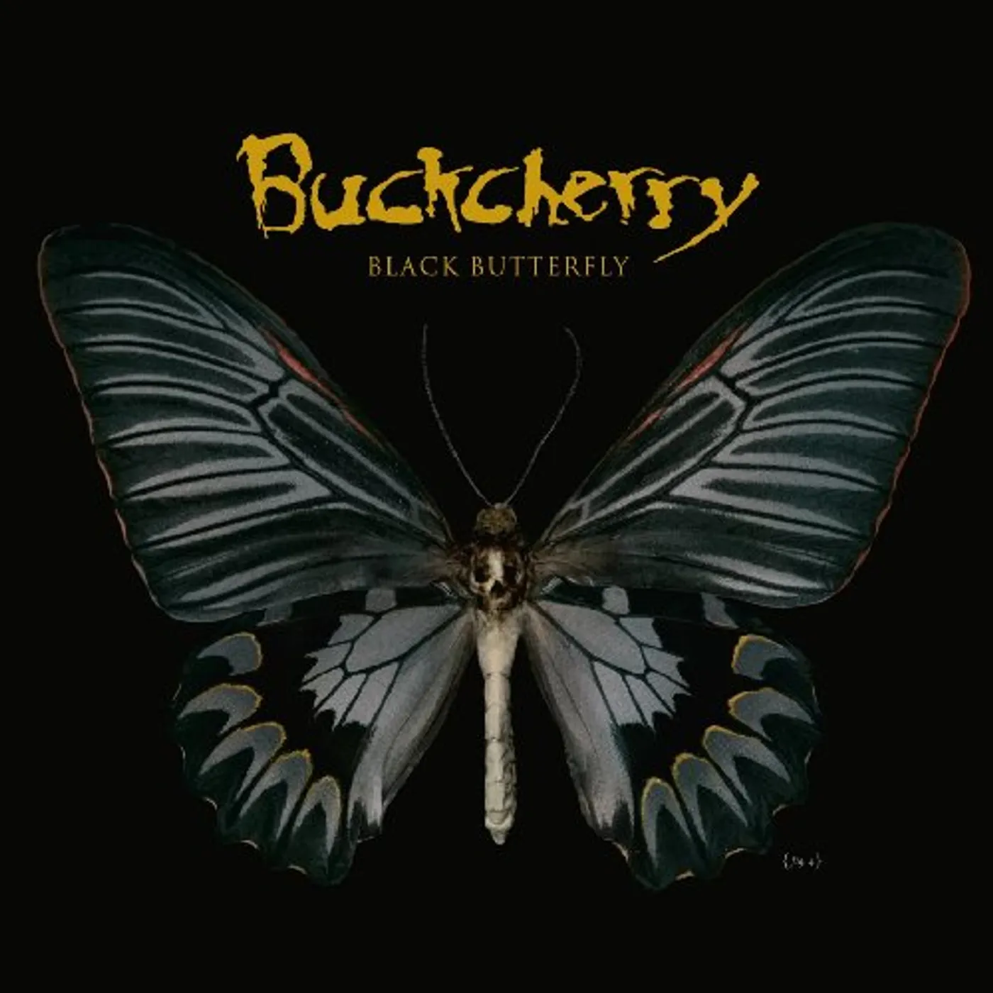 Buckcherry BLACK BUTTERFLY CD