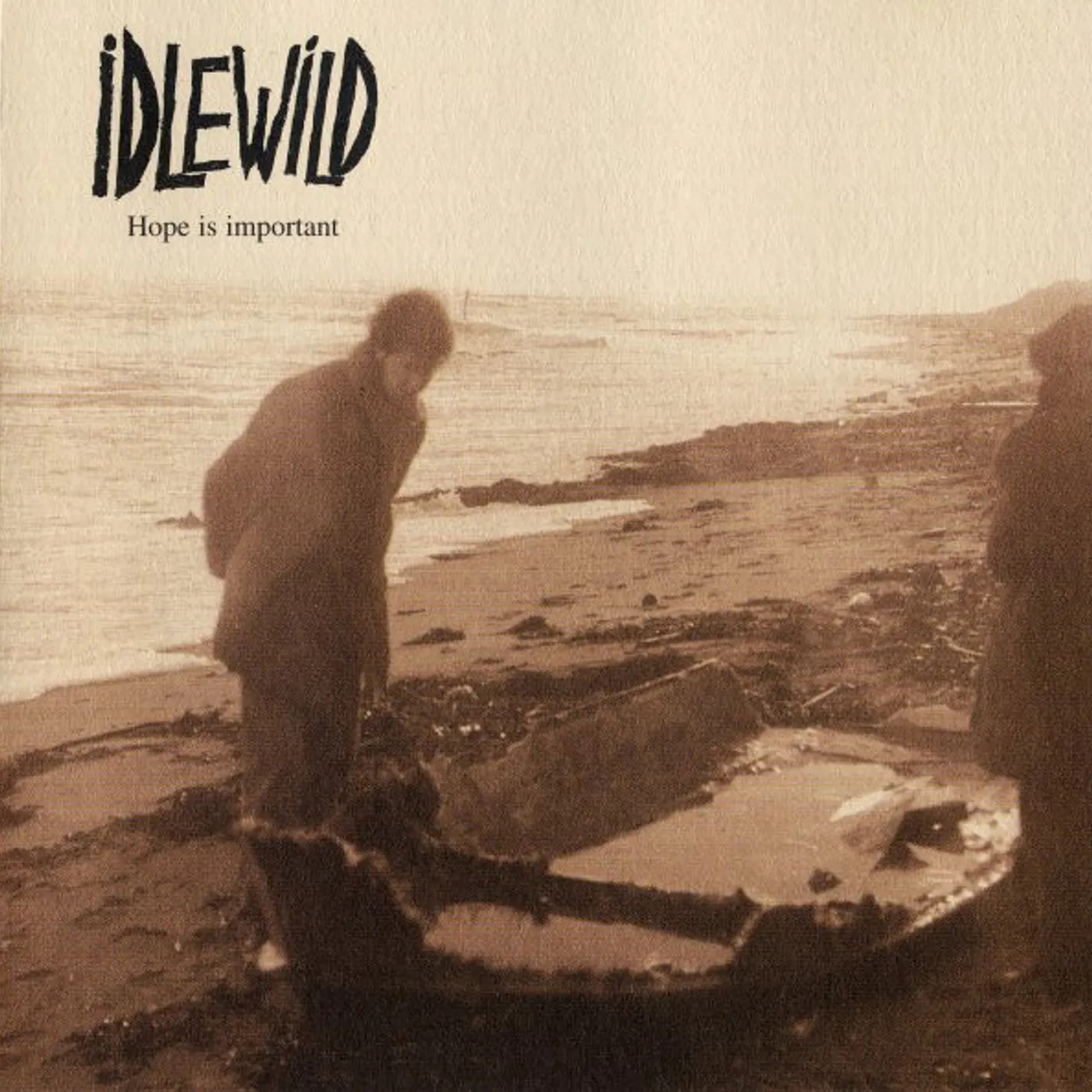 Idlewild HOPE IS IMPORTANT CD