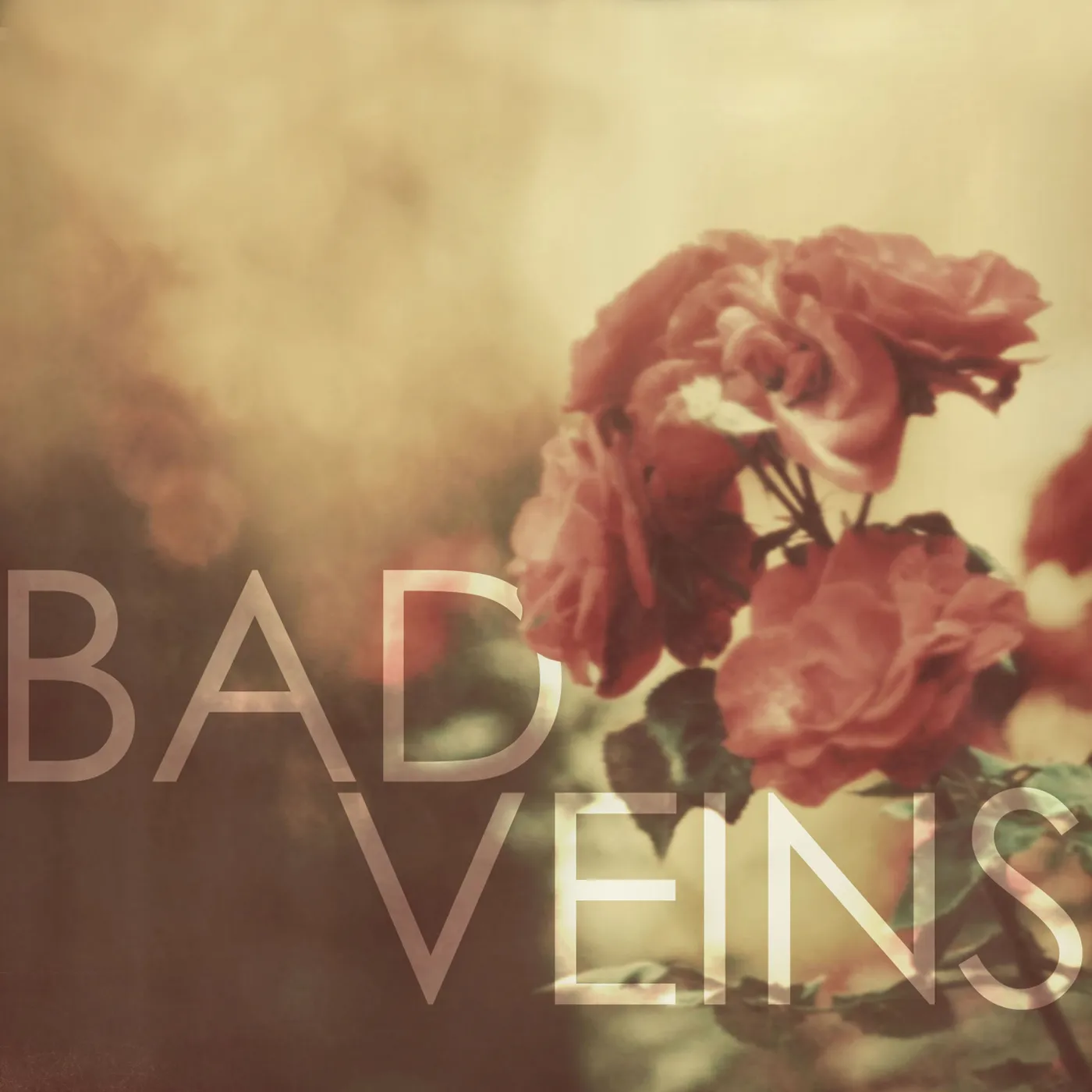 Bad Veins Vinyl Record