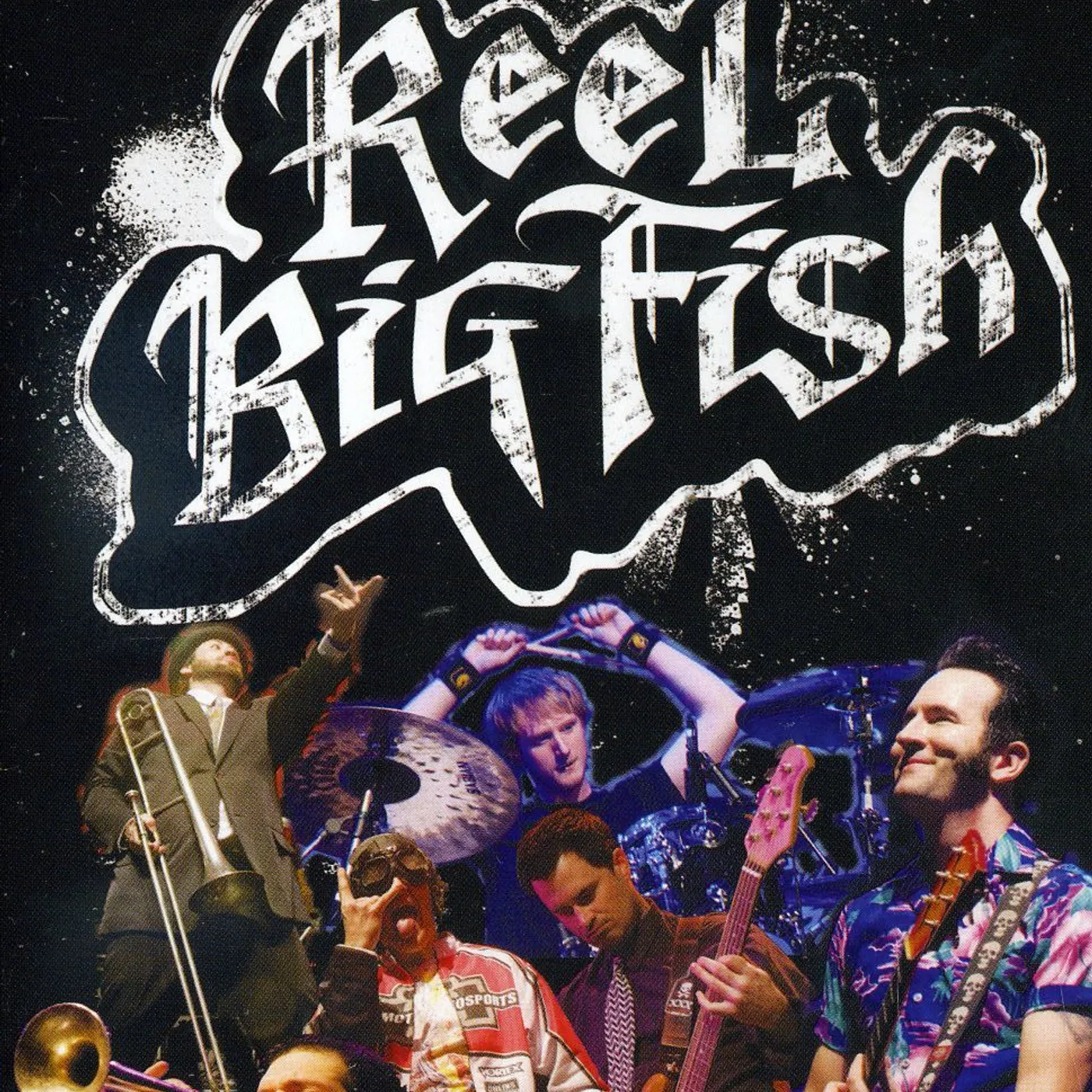 Reel Big Fish LIVE IN CONCERT DVD