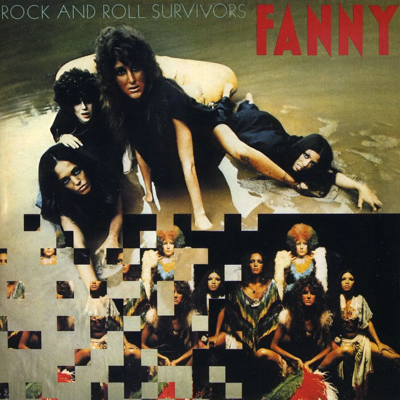 Fanny ROCK & ROLL SURVIVORS CD