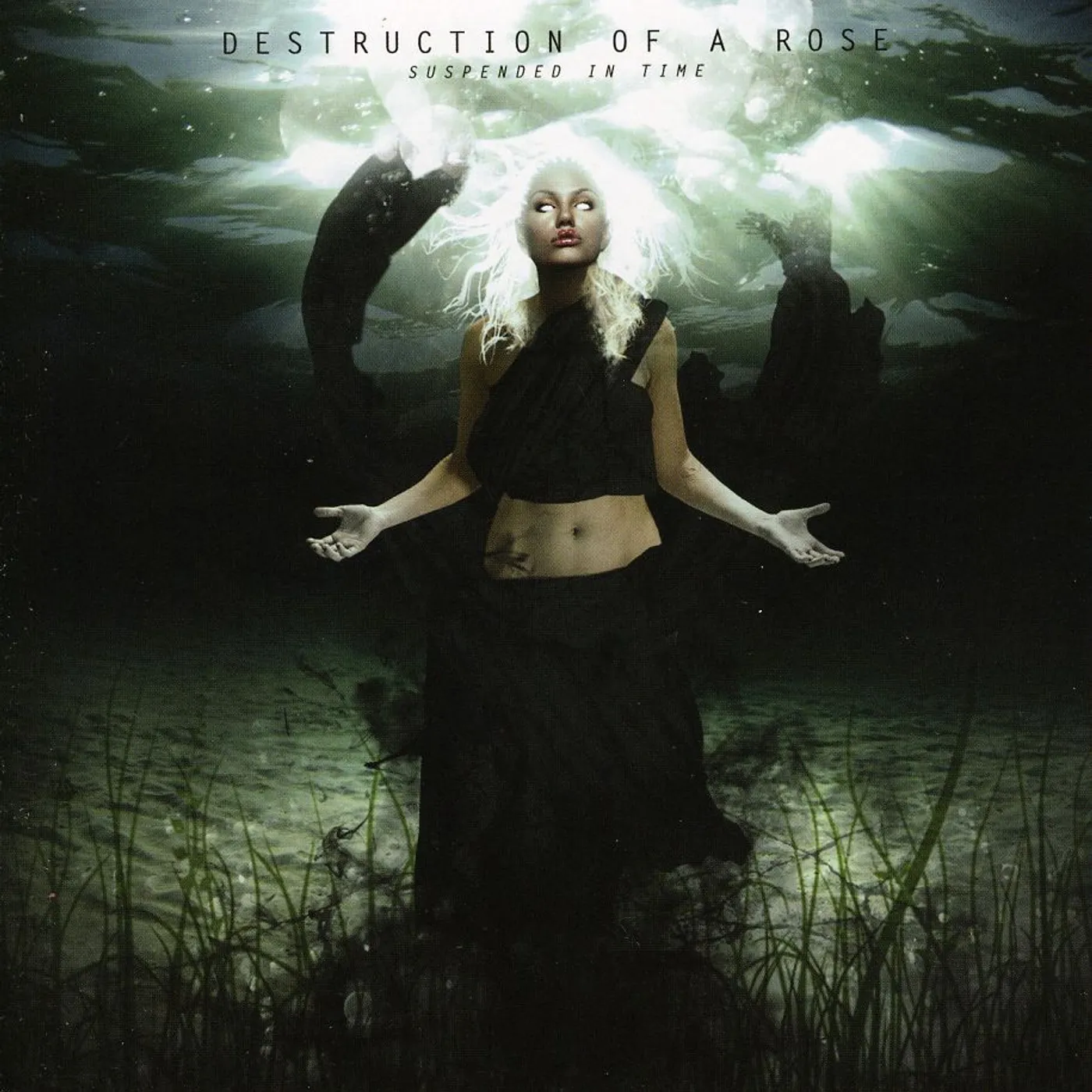 Destruction of a Rose SUSPENDED IN TIME CD