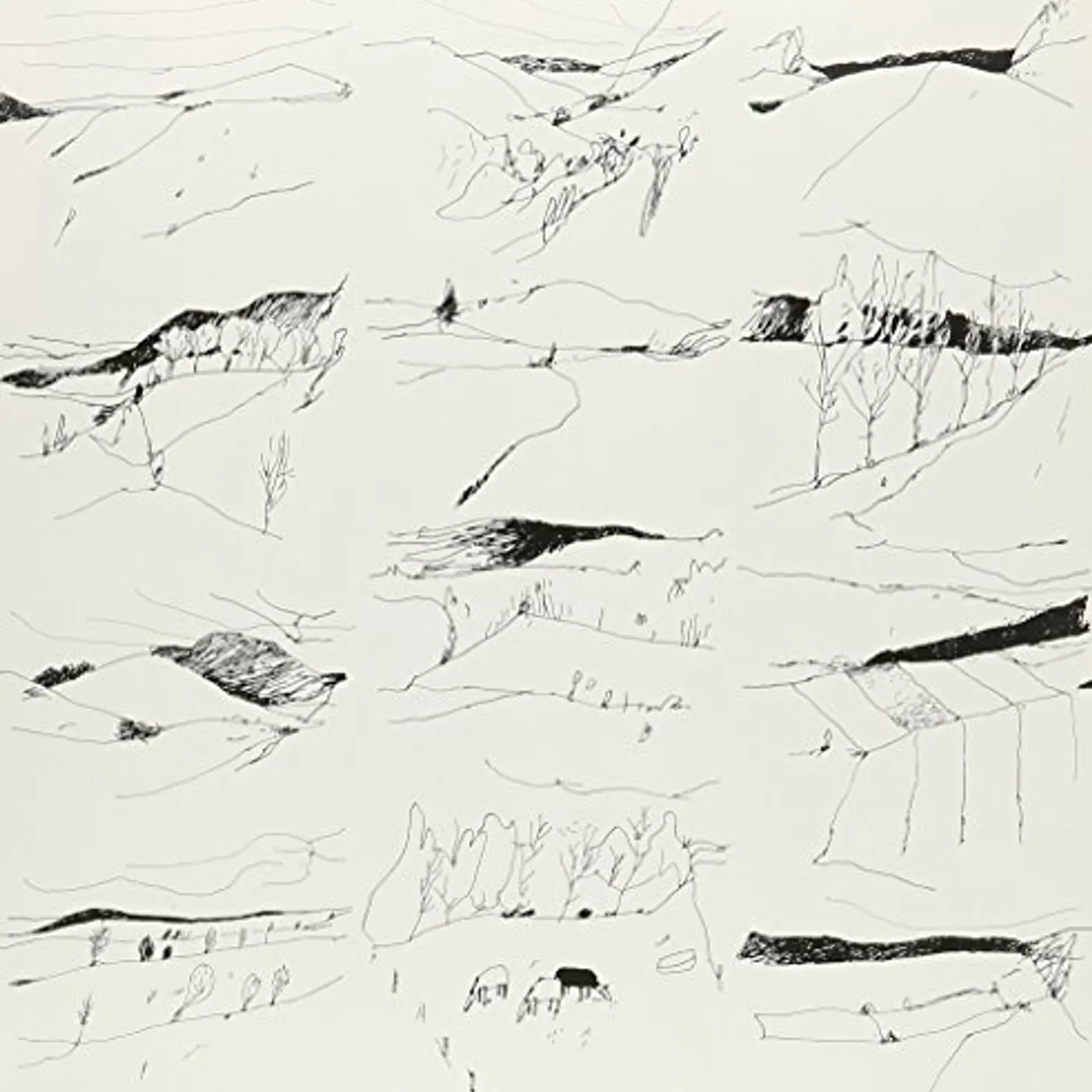 Lawrence Jill Vinyl Record