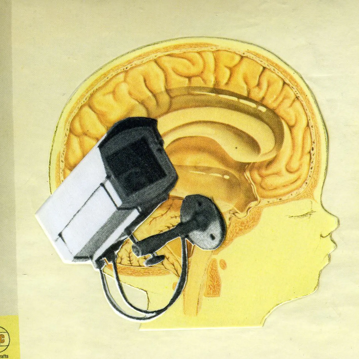 The Hidden Cameras ORIGIN: ORPHAN CD