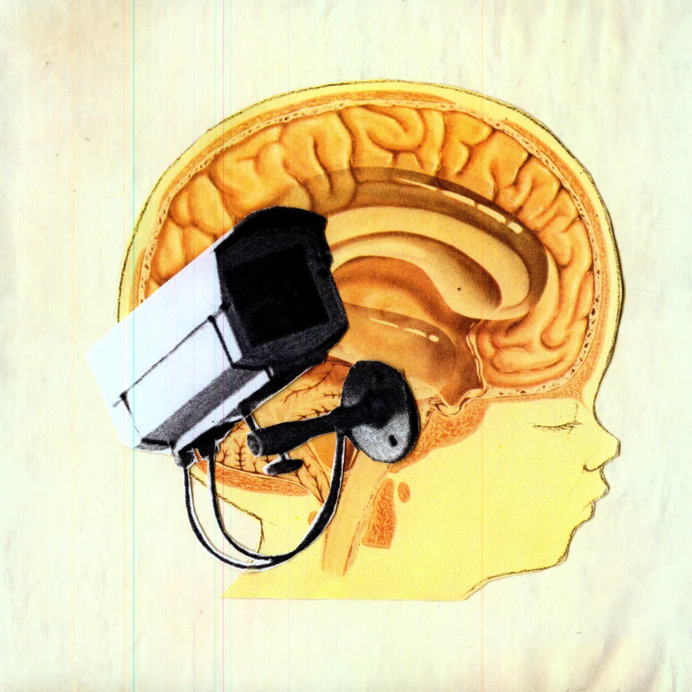 The Hidden Cameras ORIGIN: ORPHAN Vinyl Record