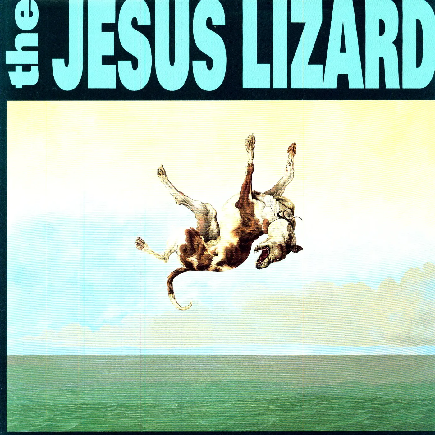 The Jesus Lizard Down Vinyl Record