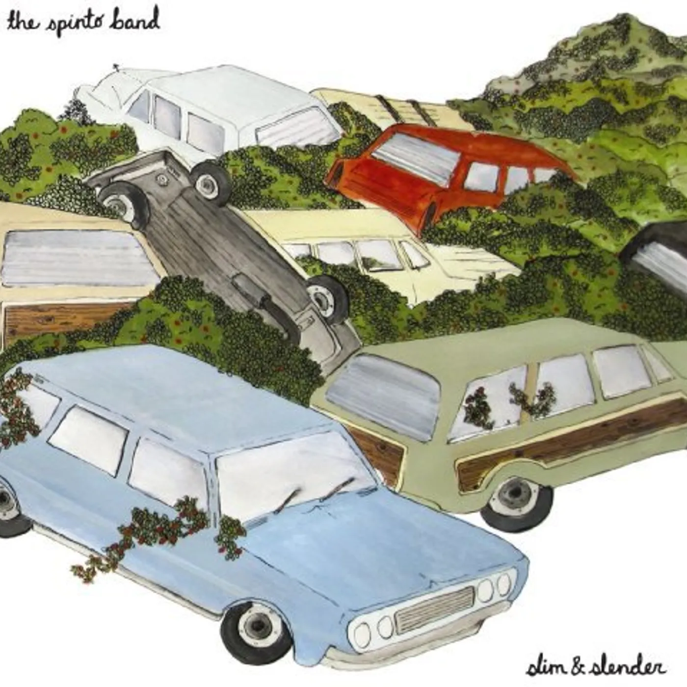 The Spinto Band SLIM & SLENDER Vinyl Record