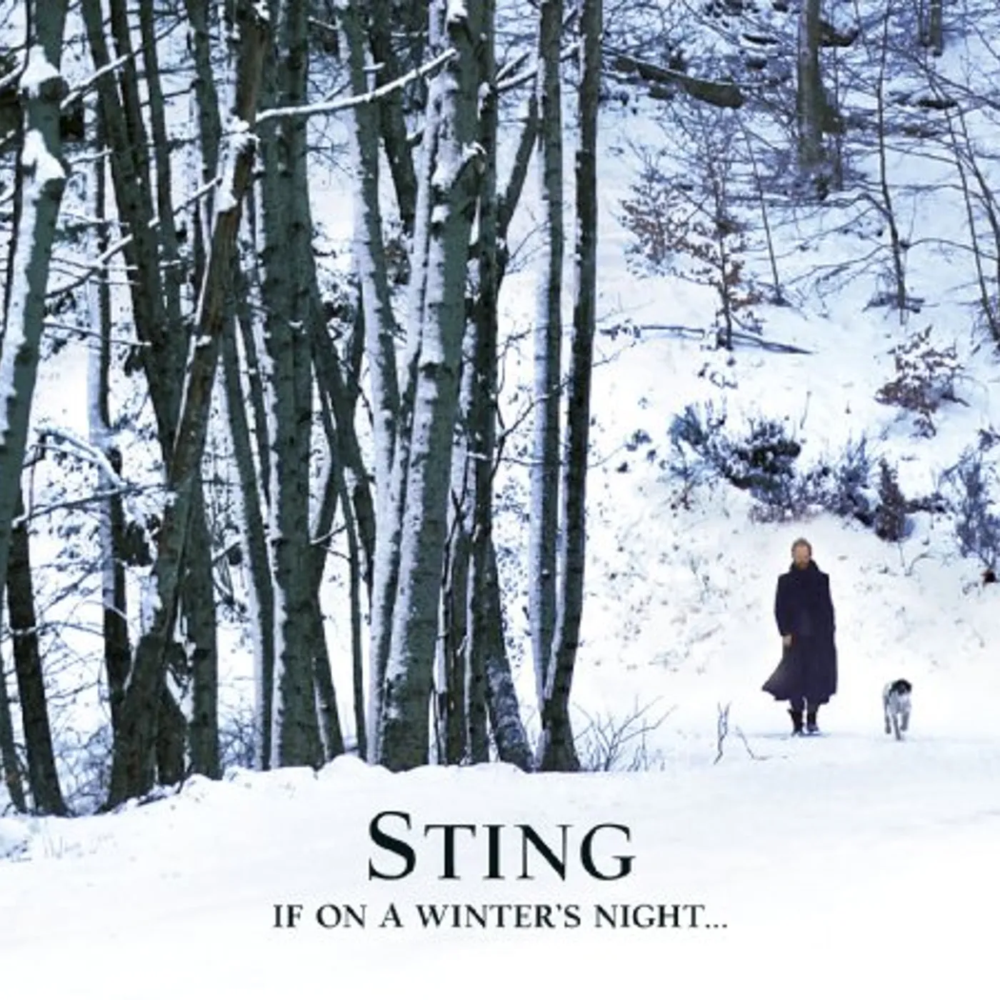 Sting IF ON A WINTER'S NIGHT CD