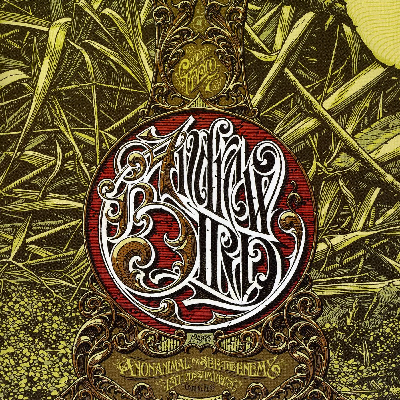 Andrew Bird Anonanimal / See the Enemy Vinyl Record