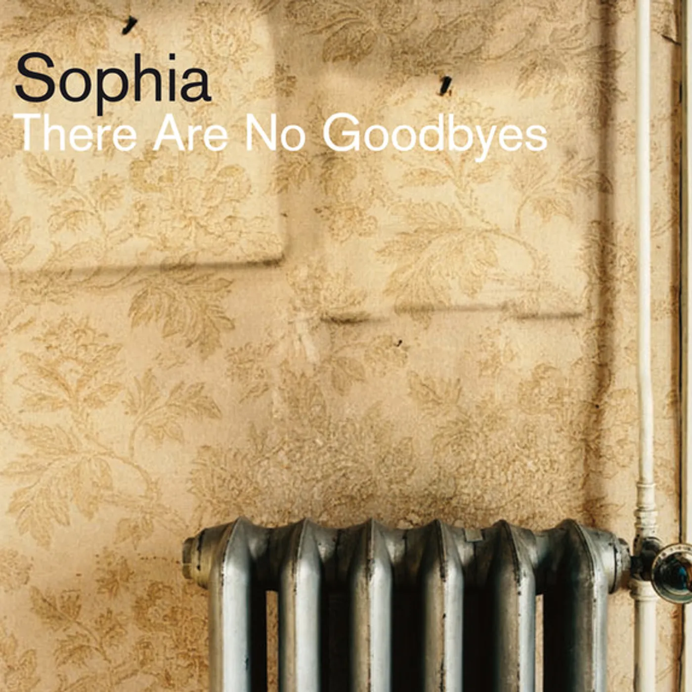 Sophia There Are No Goodbyes Vinyl Record