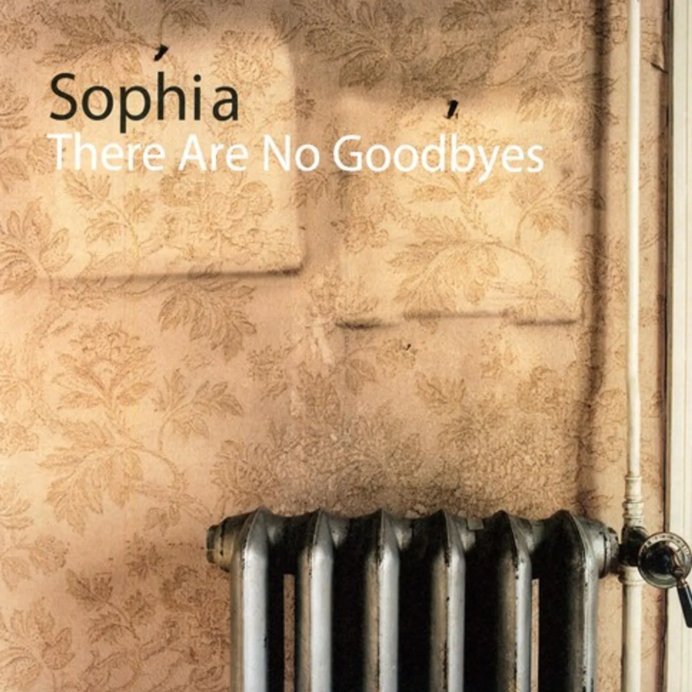 Sophia There Are No Goodbyes Vinyl Record
