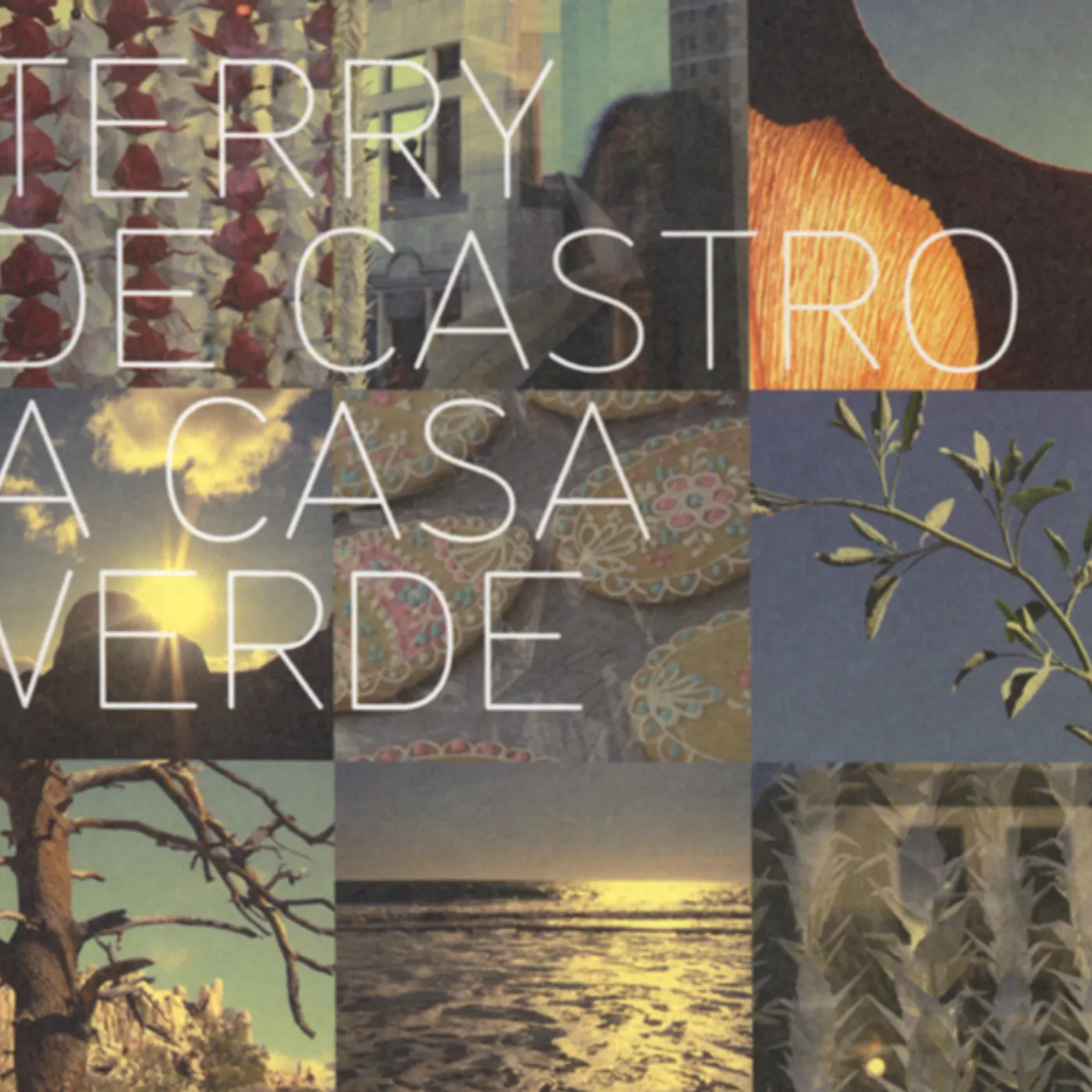 Terry De Castro CASA VERDE CD