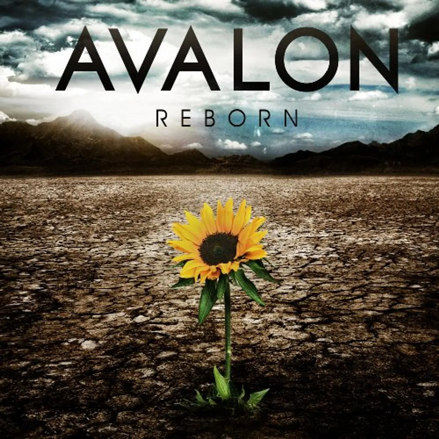 Avalon REBORN CD