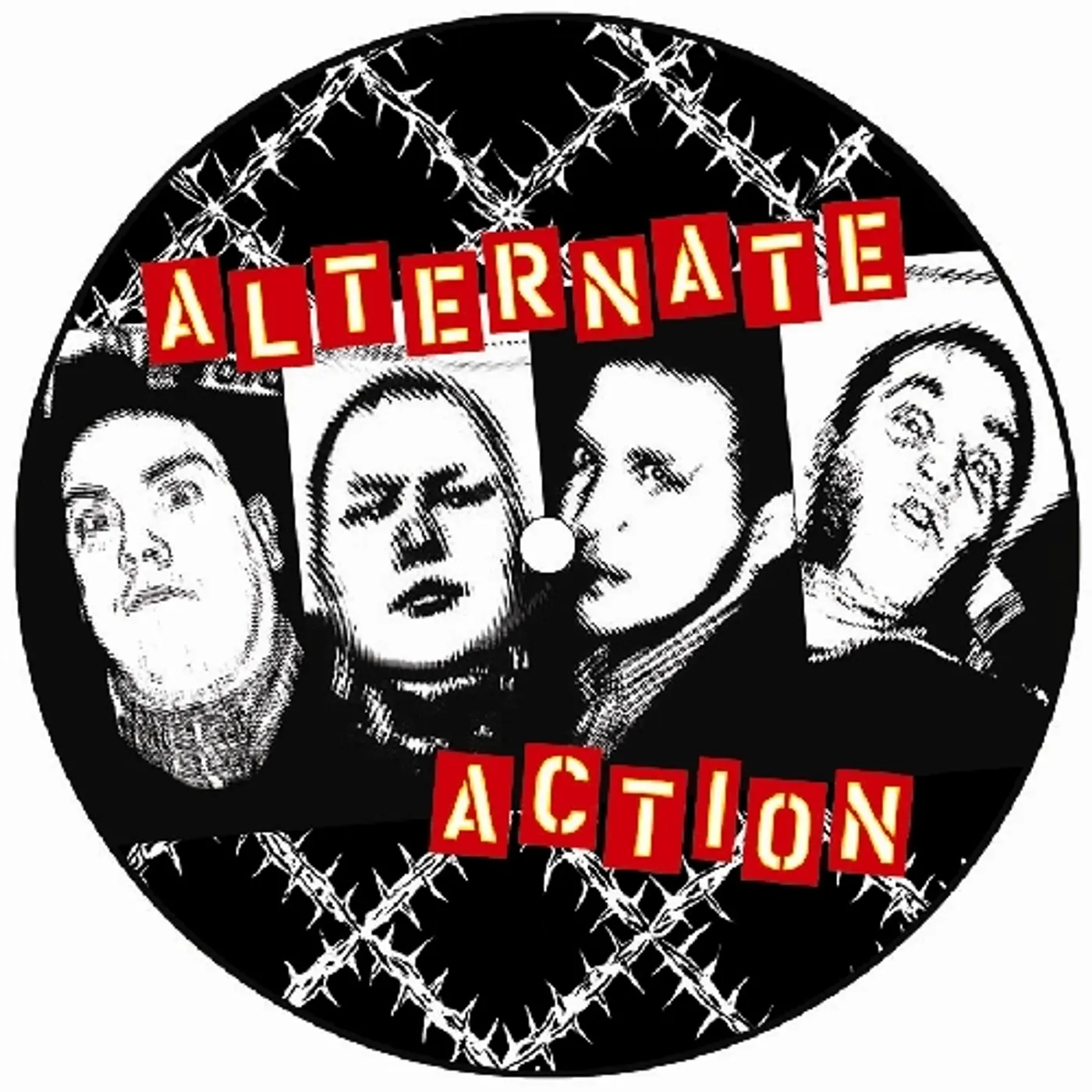 Alternate Action WE'RE NOT LIKE YOU Vinyl Record - Picture Disc