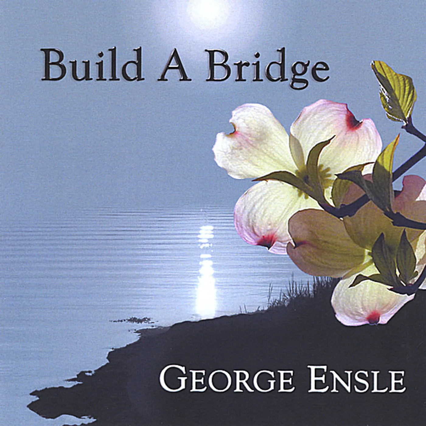 George Ensle BUILD A BRIDGE CD