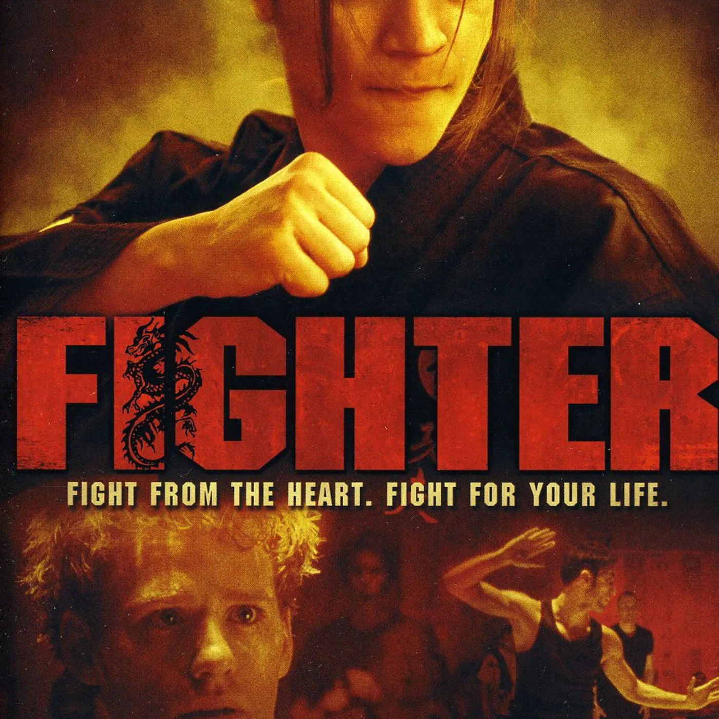 FIGHTER DVD