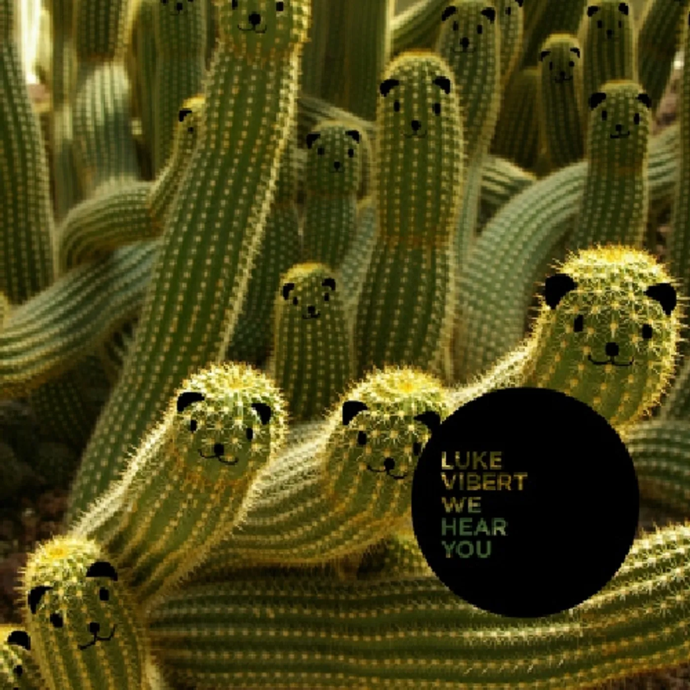 Luke Vibert We Hear You Vinyl Record