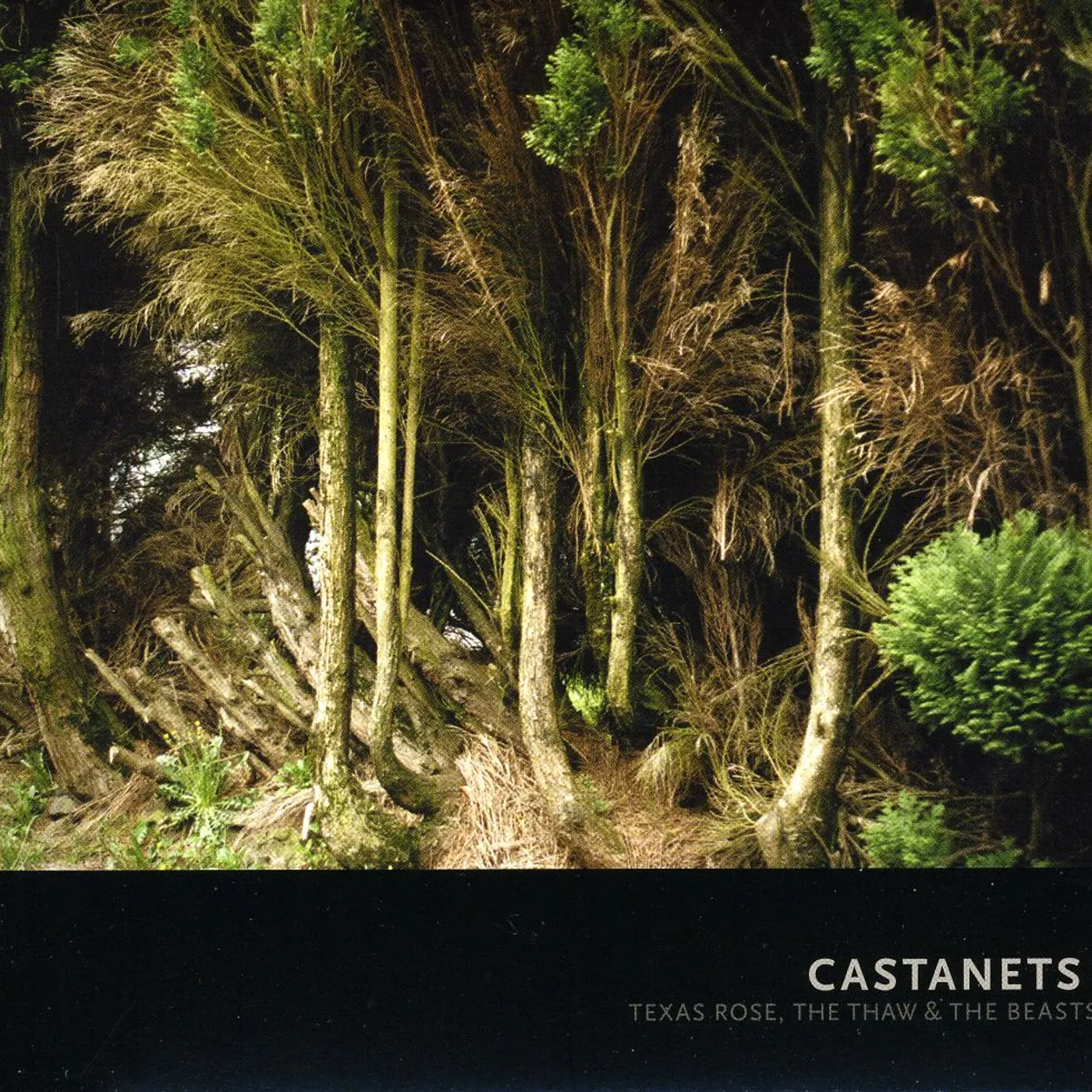 Castanets TEXAS ROSE: THE THAW & THE BEAST CD