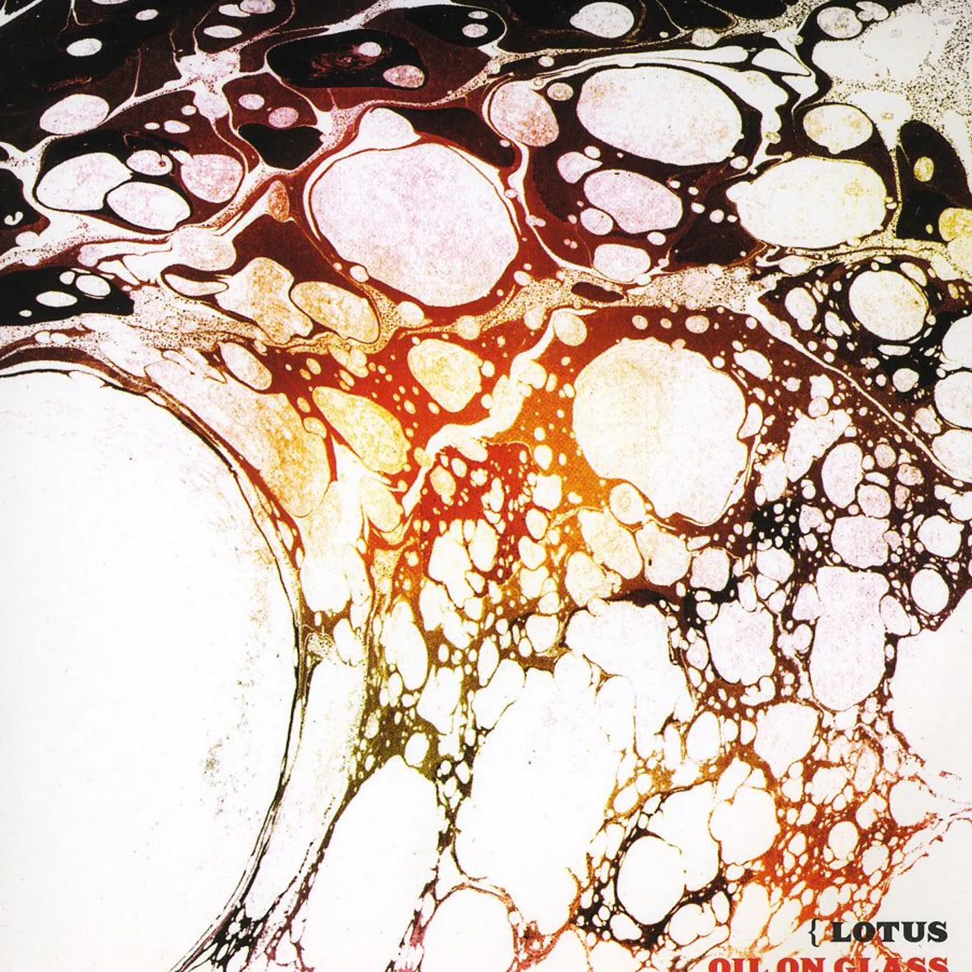 Lotus  OIL ON GLASS & FEATHER ON WOOD CD