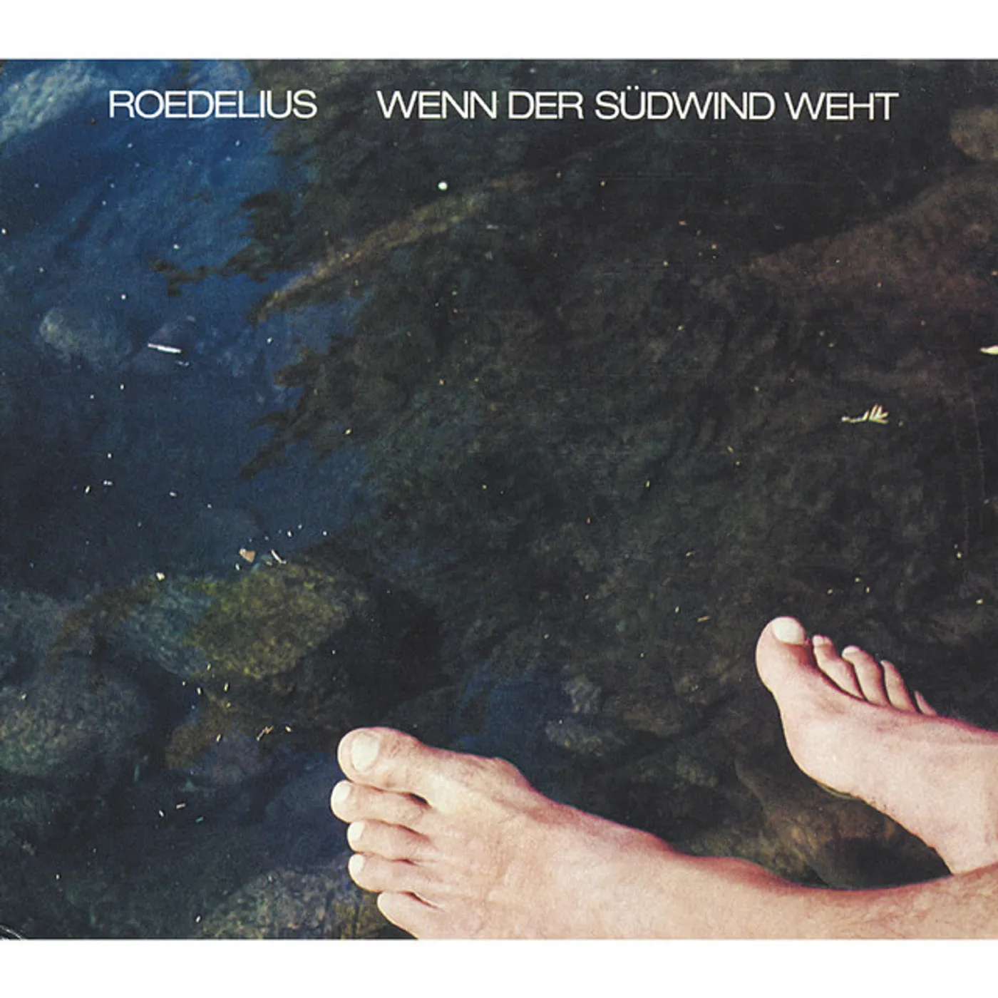 Roedelius WENN DER SUDWIND WEHT Vinyl Record