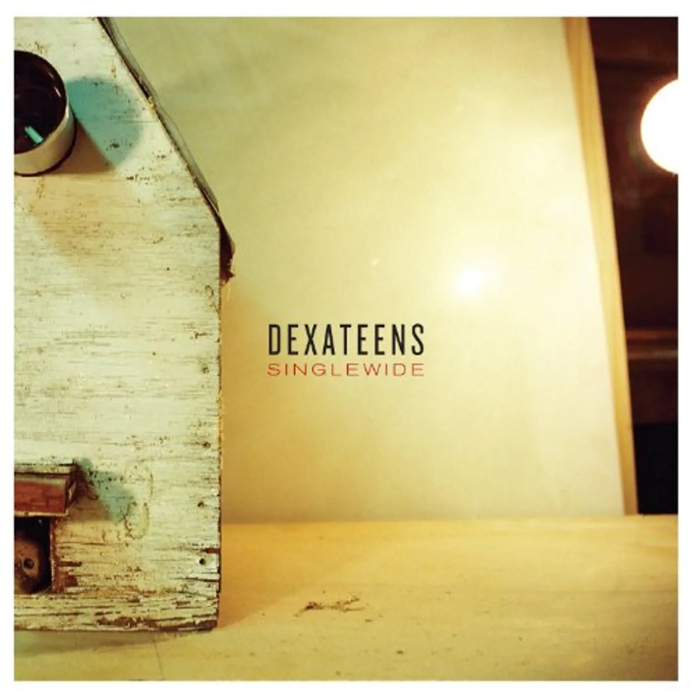 Dexateens Singlewide Vinyl Record