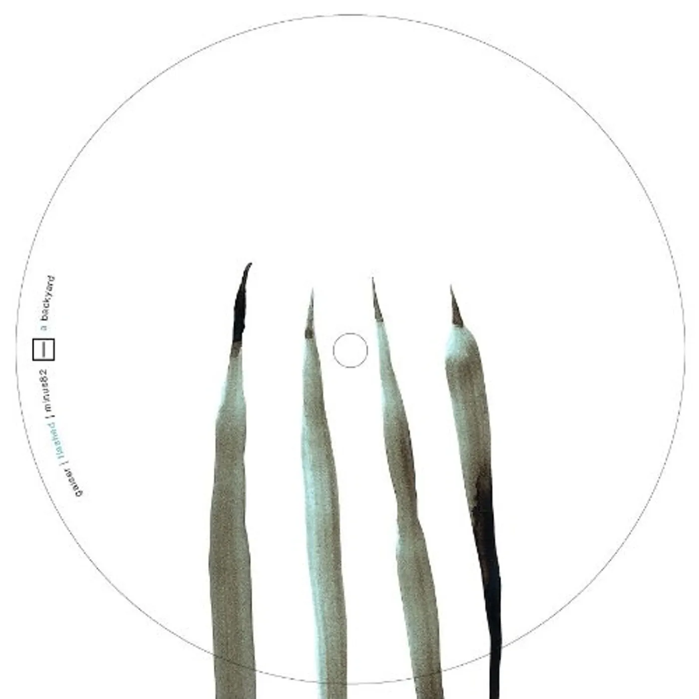 Gaiser FLASHED (EP) Vinyl Record