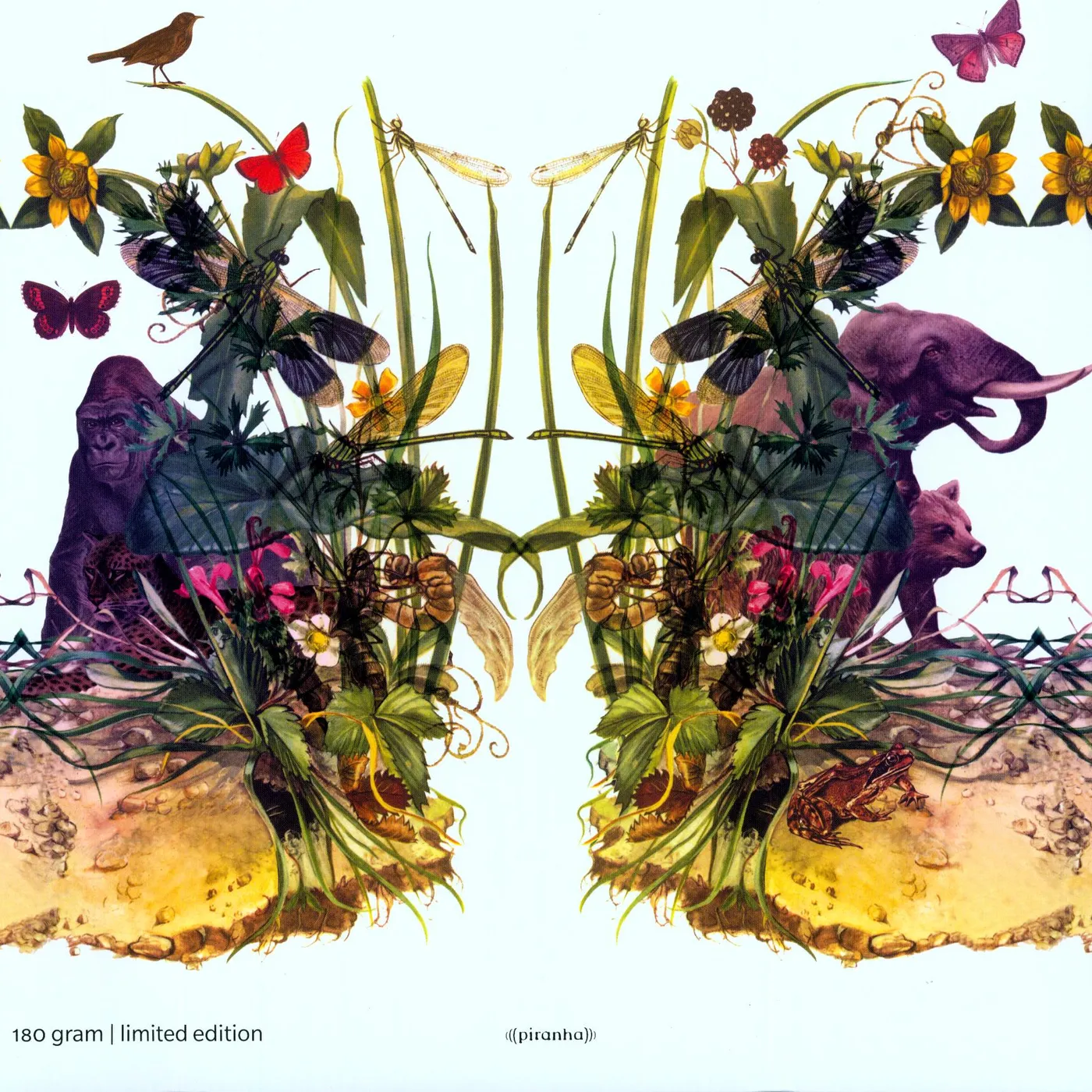 Dunkelbunt RAINDROPS & ELEPHANTS Vinyl Record