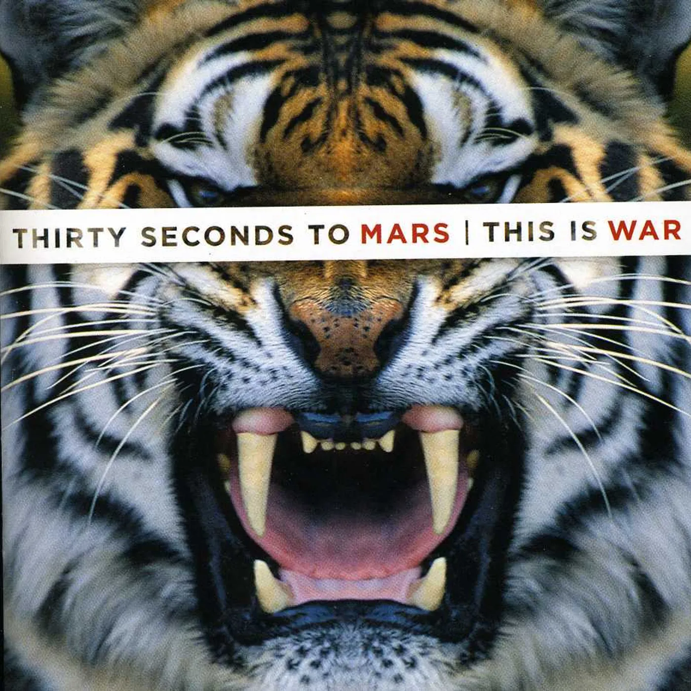 Thirty Seconds To Mars THIS IS WAR CD