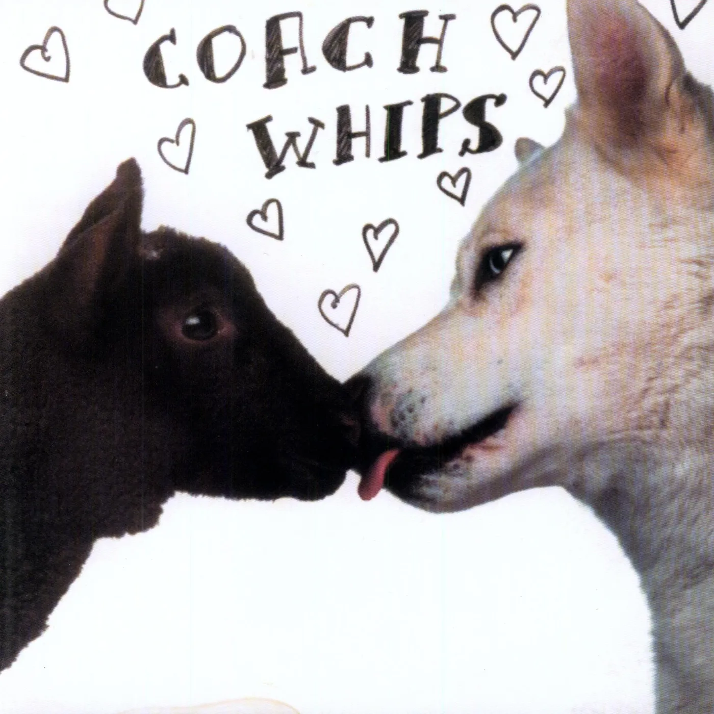 Coachwhips Bangers vs Fuckers Vinyl Record