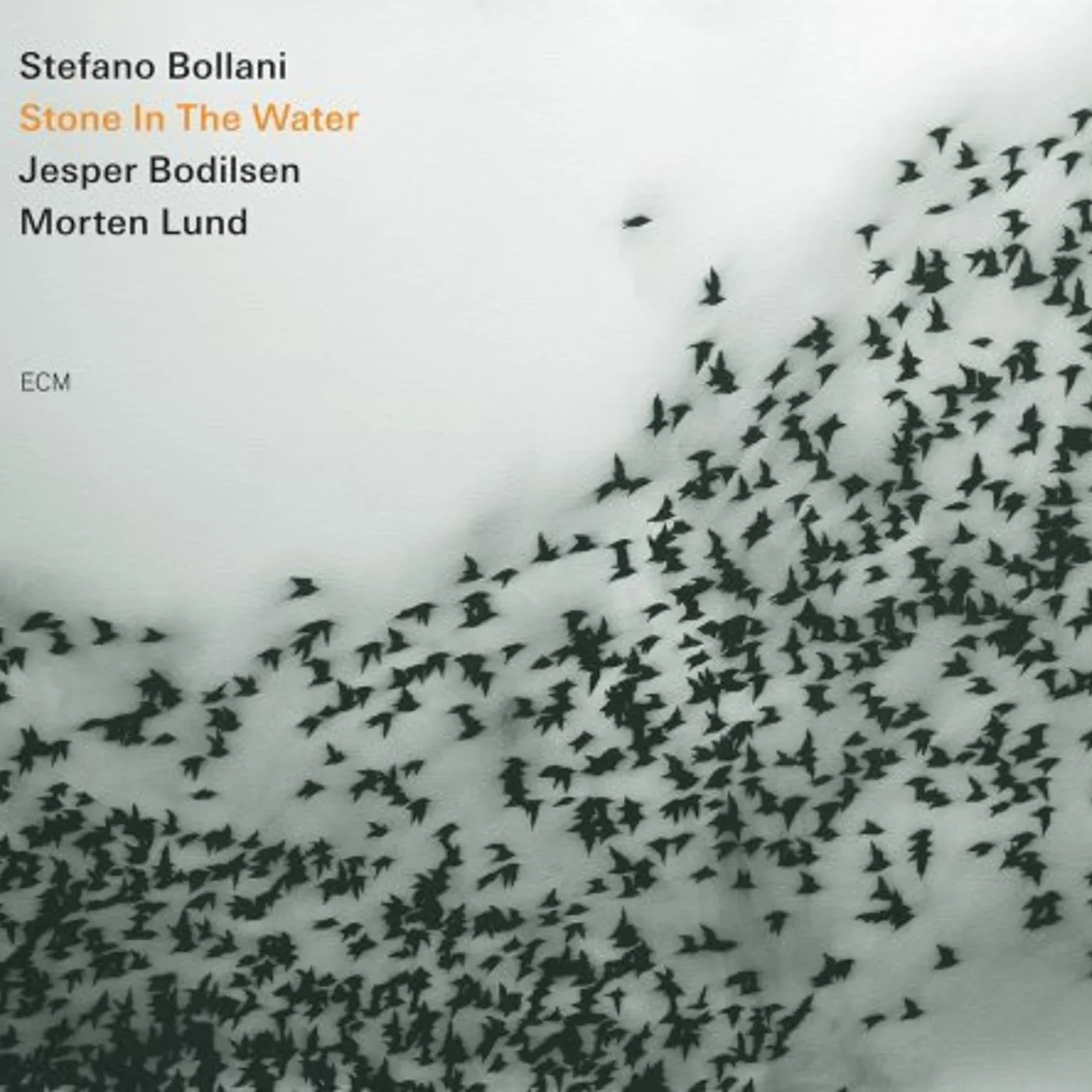 Stefano Bollani STONE IN THE WATER CD