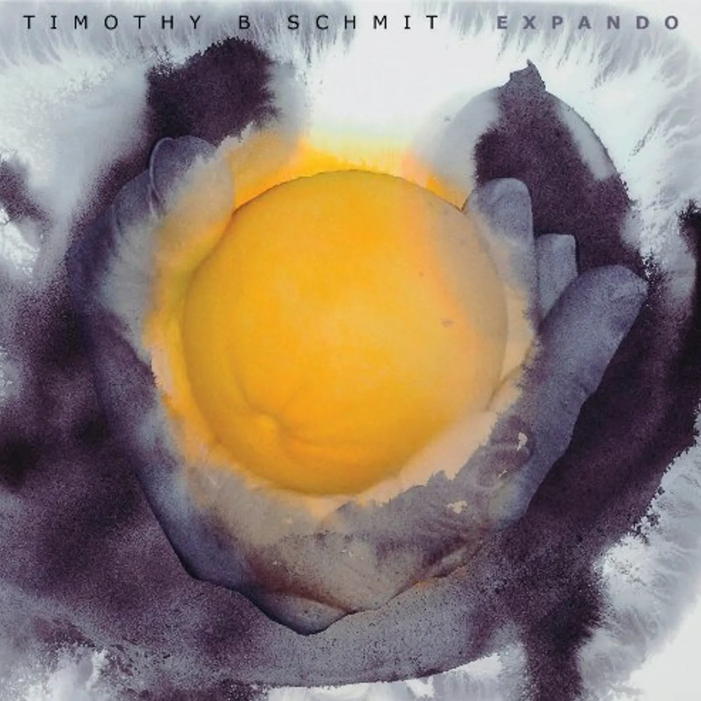 Timothy B. Schmit EXPANDO Vinyl Record - Special Packaging