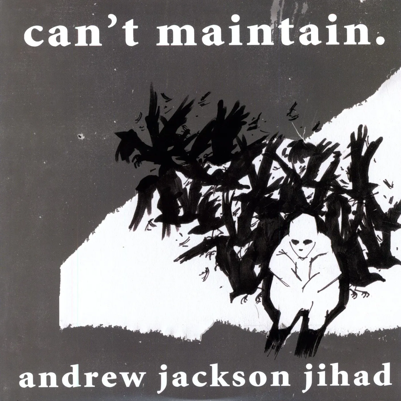 Andrew Jackson Jihad CAN'T MAINTAIN Vinyl Record