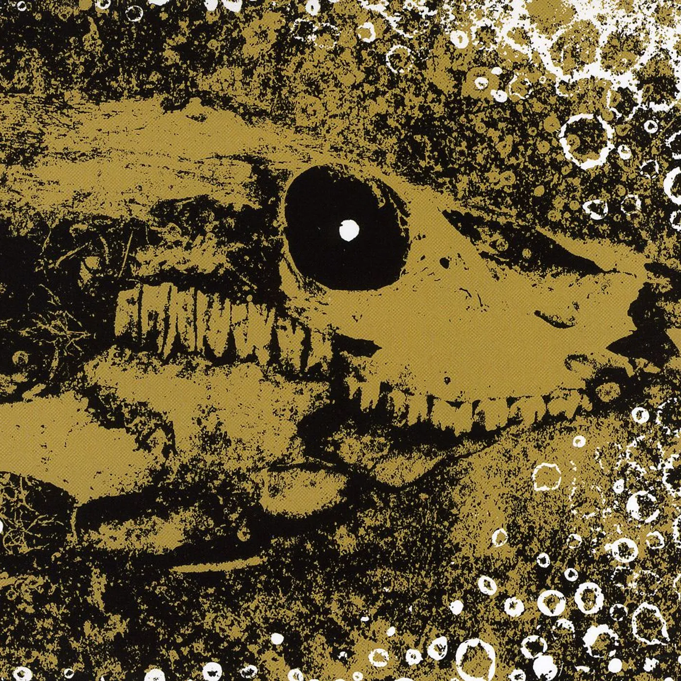 Rise And Fall OUR CIRCLE IS VICIOUS CD