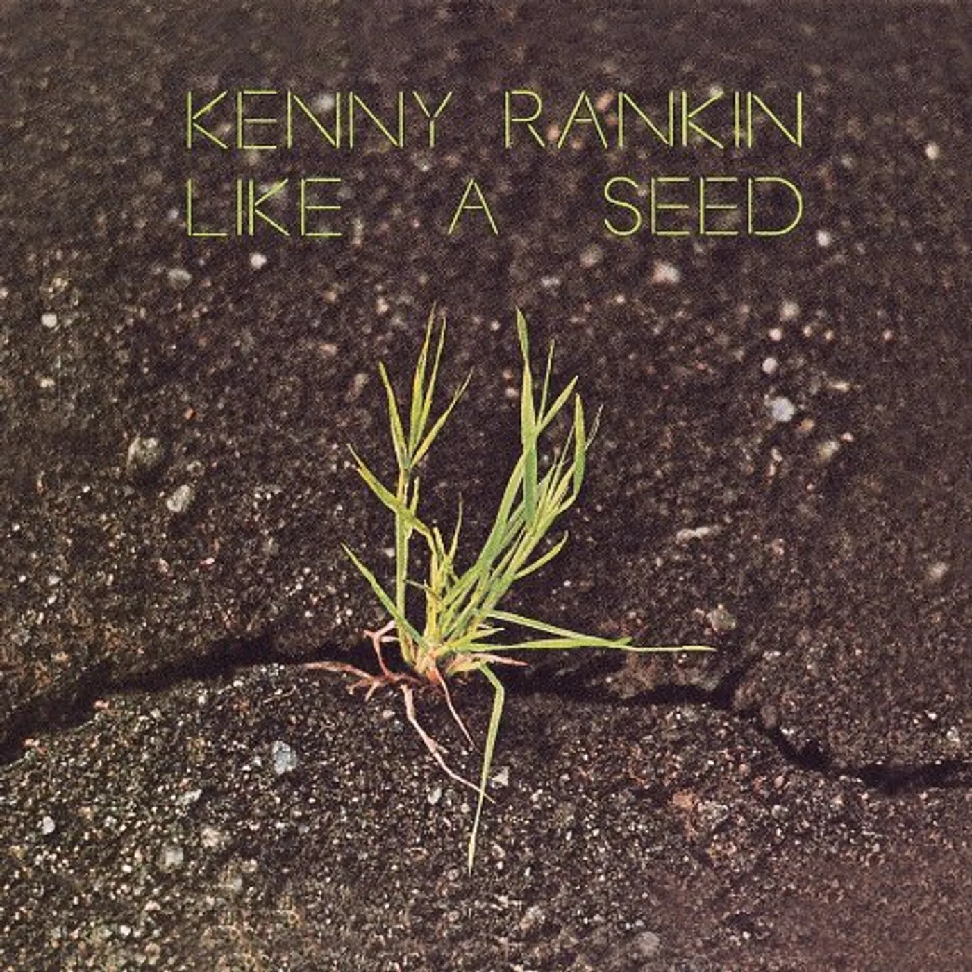 Kenny Rankin LIKE A SEED CD