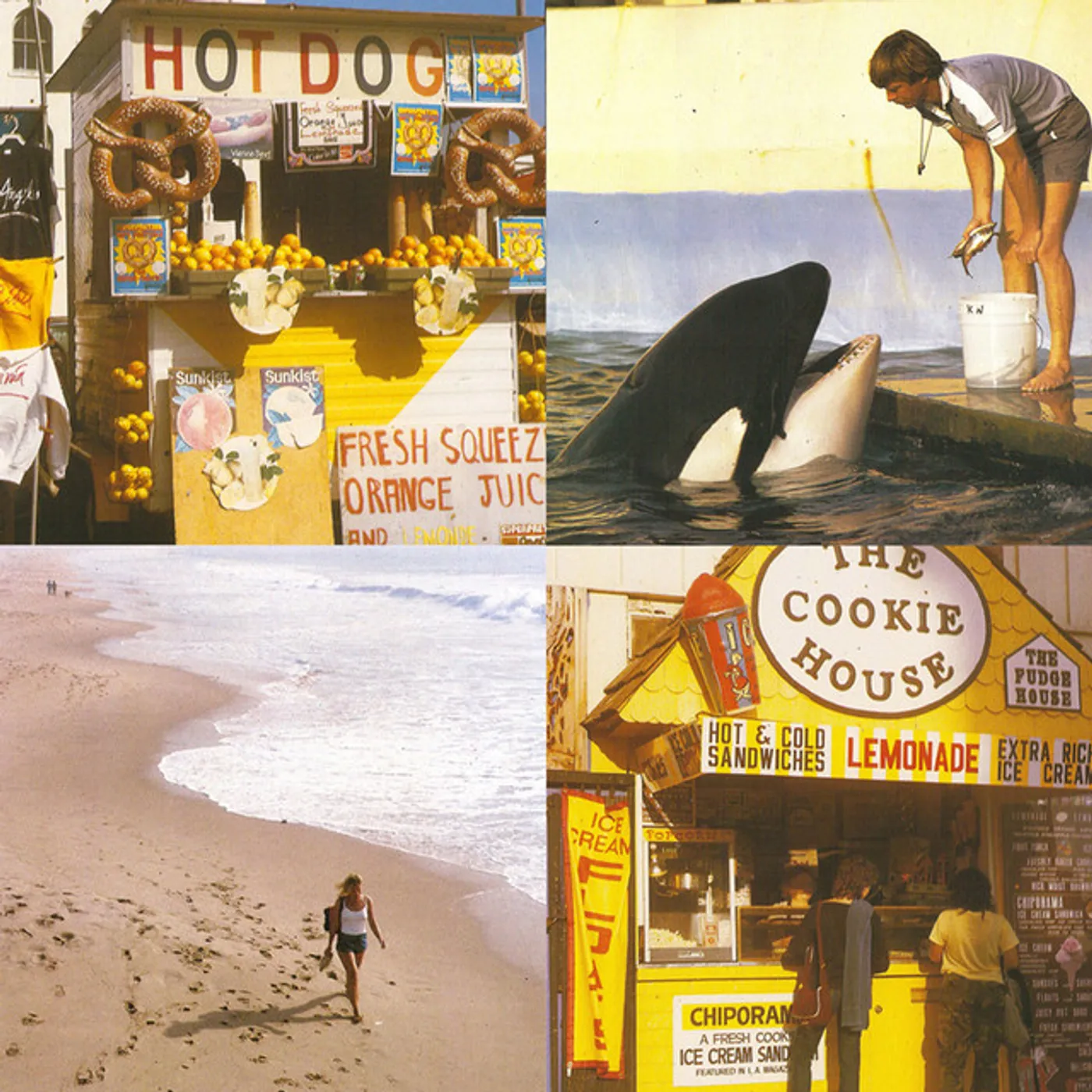 Best Coast Something In The Way Vinyl Record