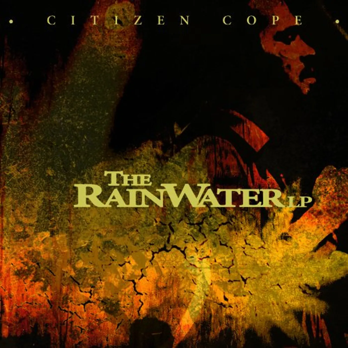 Citizen Cope RAINWATER LP CD